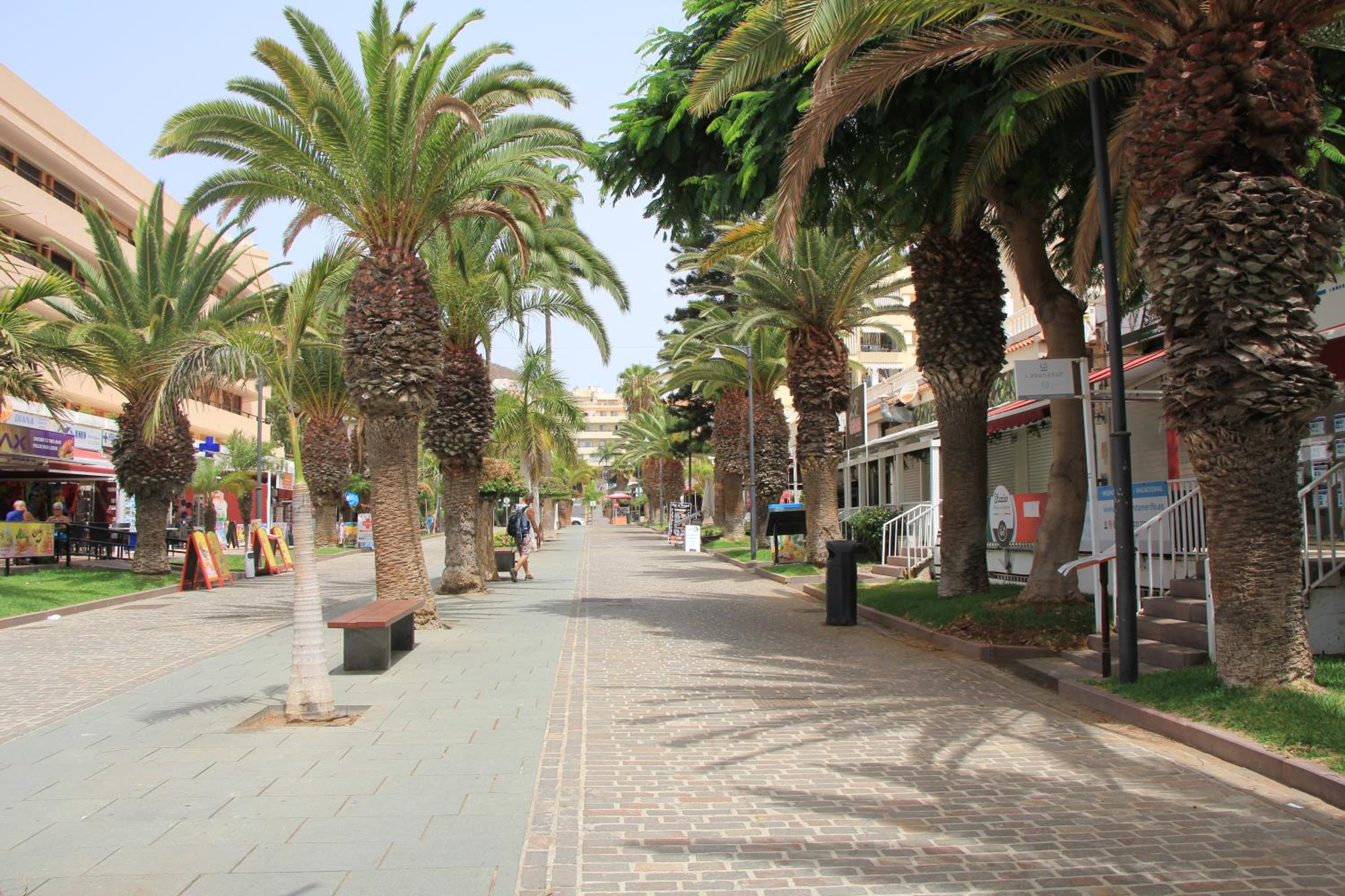 Los Cristianos - 2 bedrooms - Flayla-C