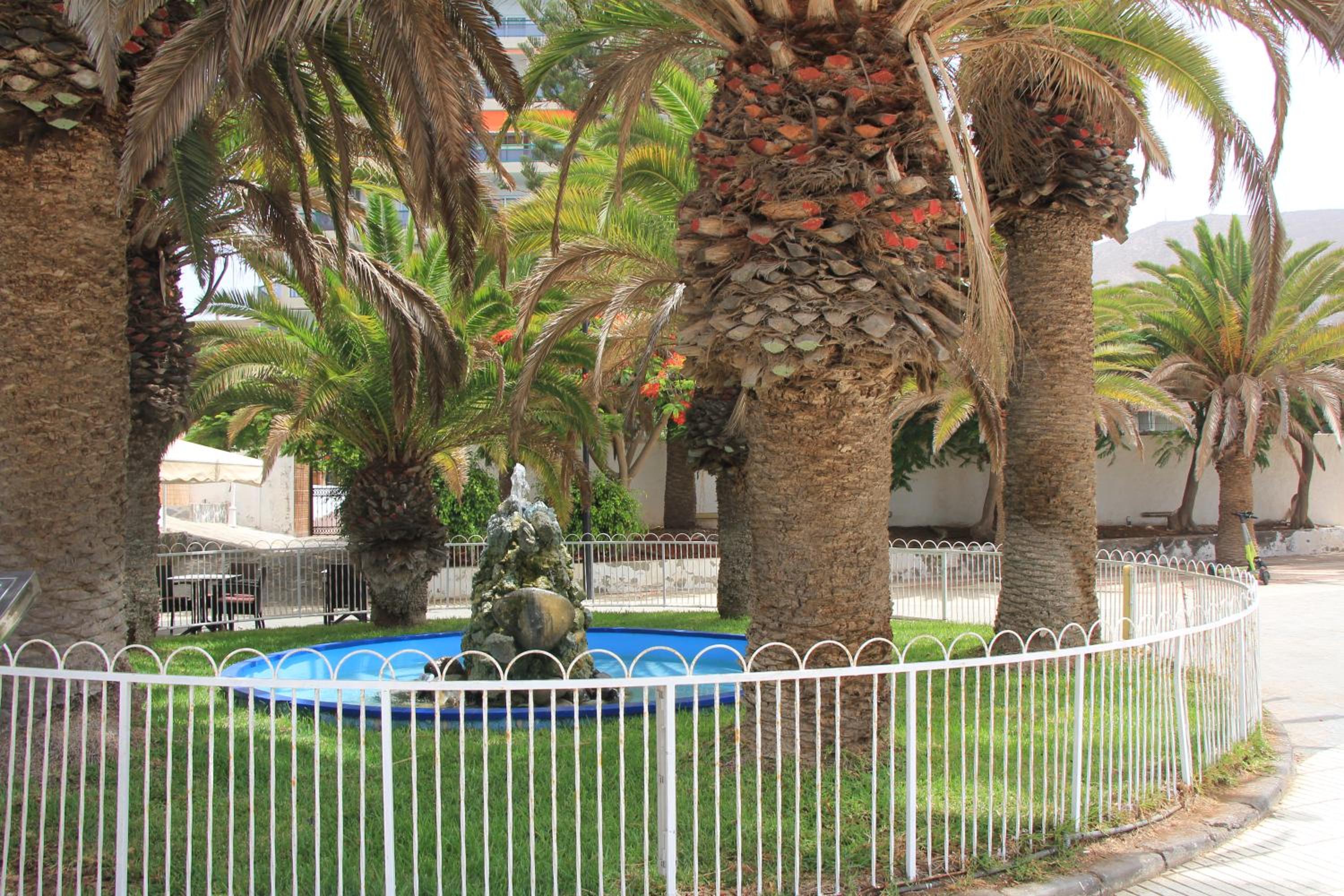 Los Cristianos - 2 bedrooms - Flayla-C