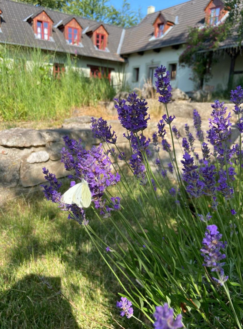 Apartmány Penzion Kateřina