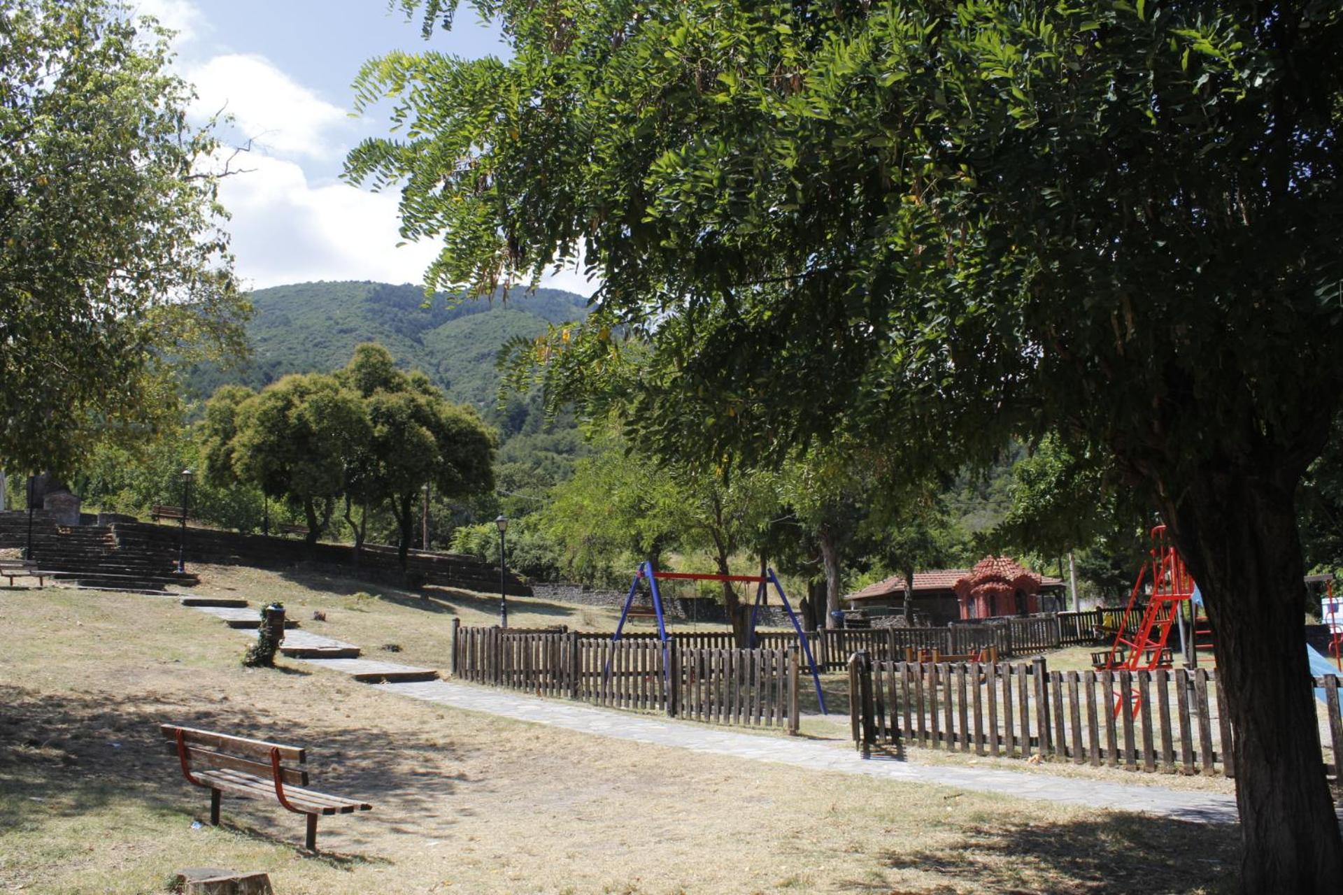 Photo 6