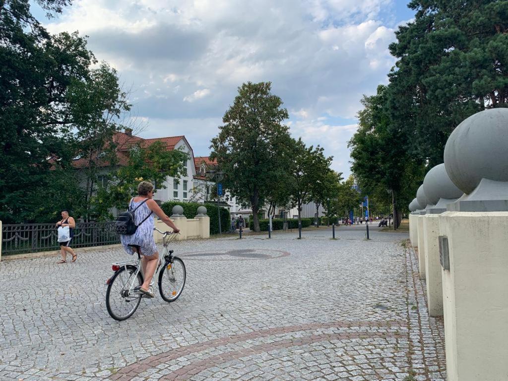 Neue stillvolle Wohnung im Steinbach Palais, ideale Lage