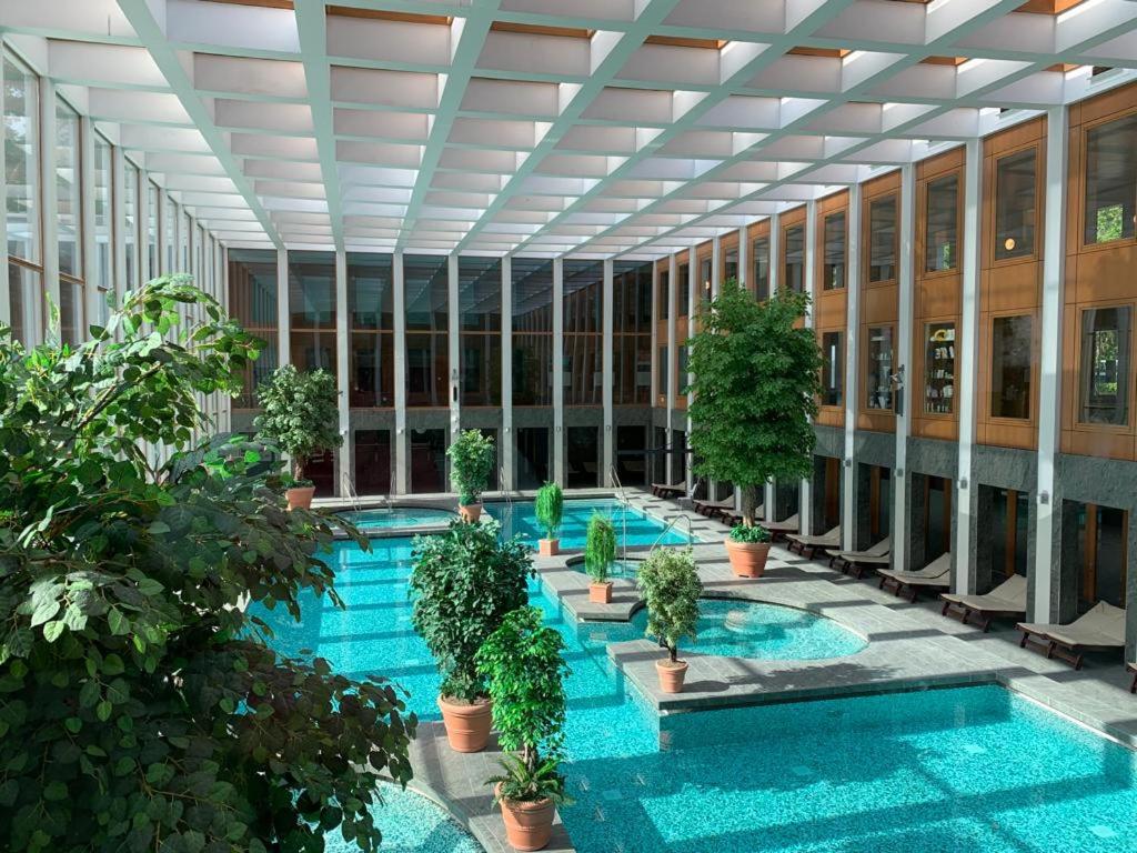 Neue stillvolle Wohnung im Steinbach Palais, ideale Lage