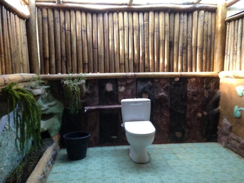 Back to Nature Ecotourism view 5