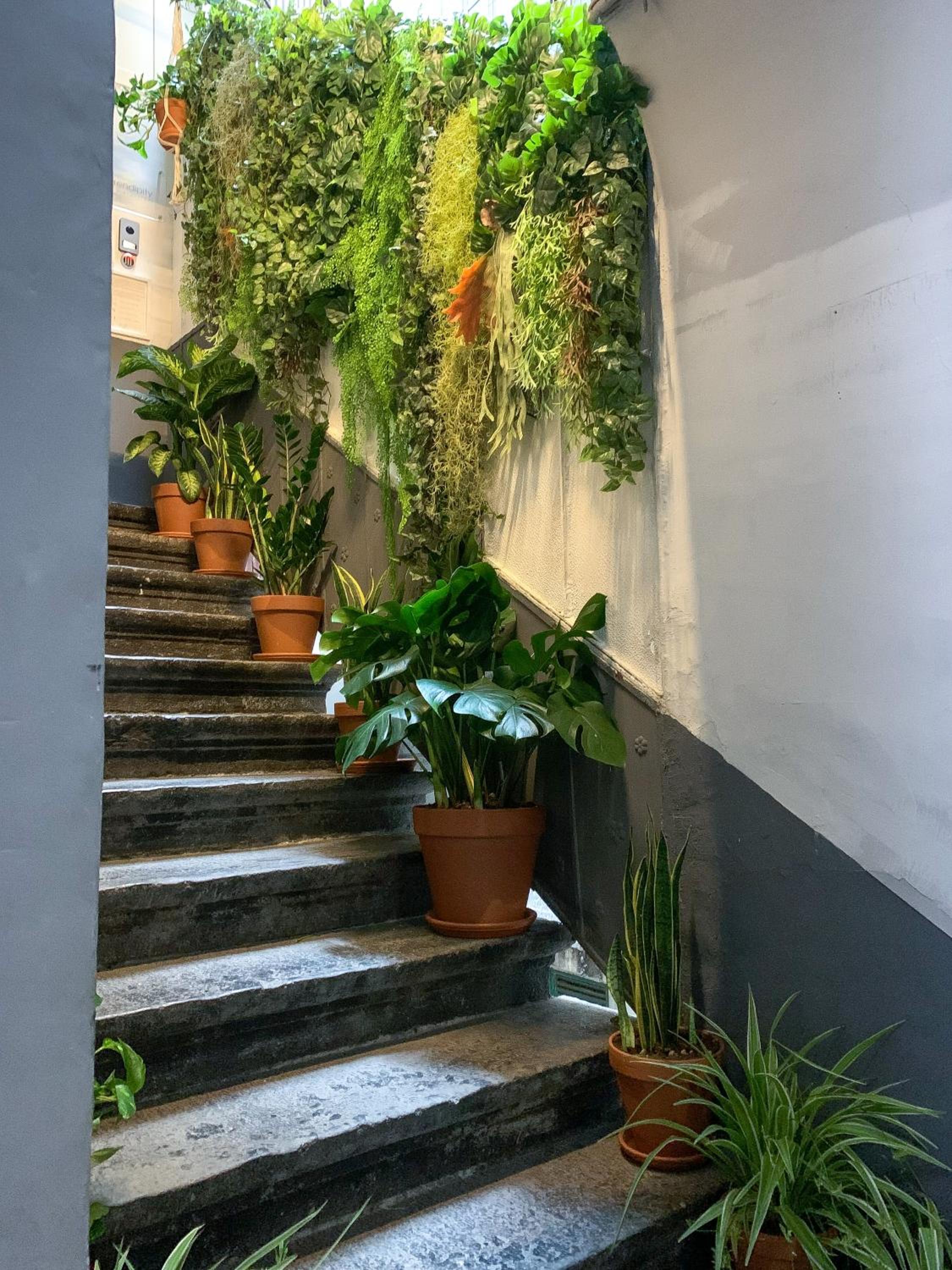 Serendipity - Image 4