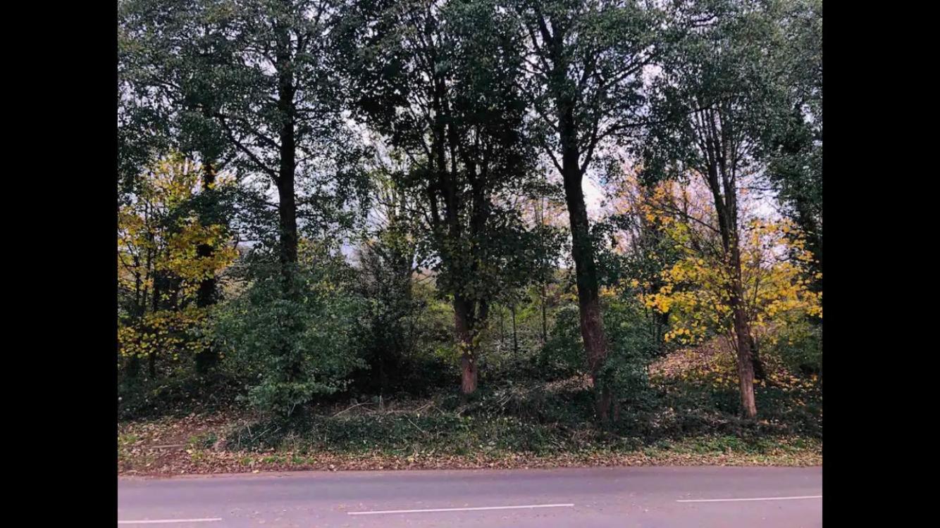 Photo 29