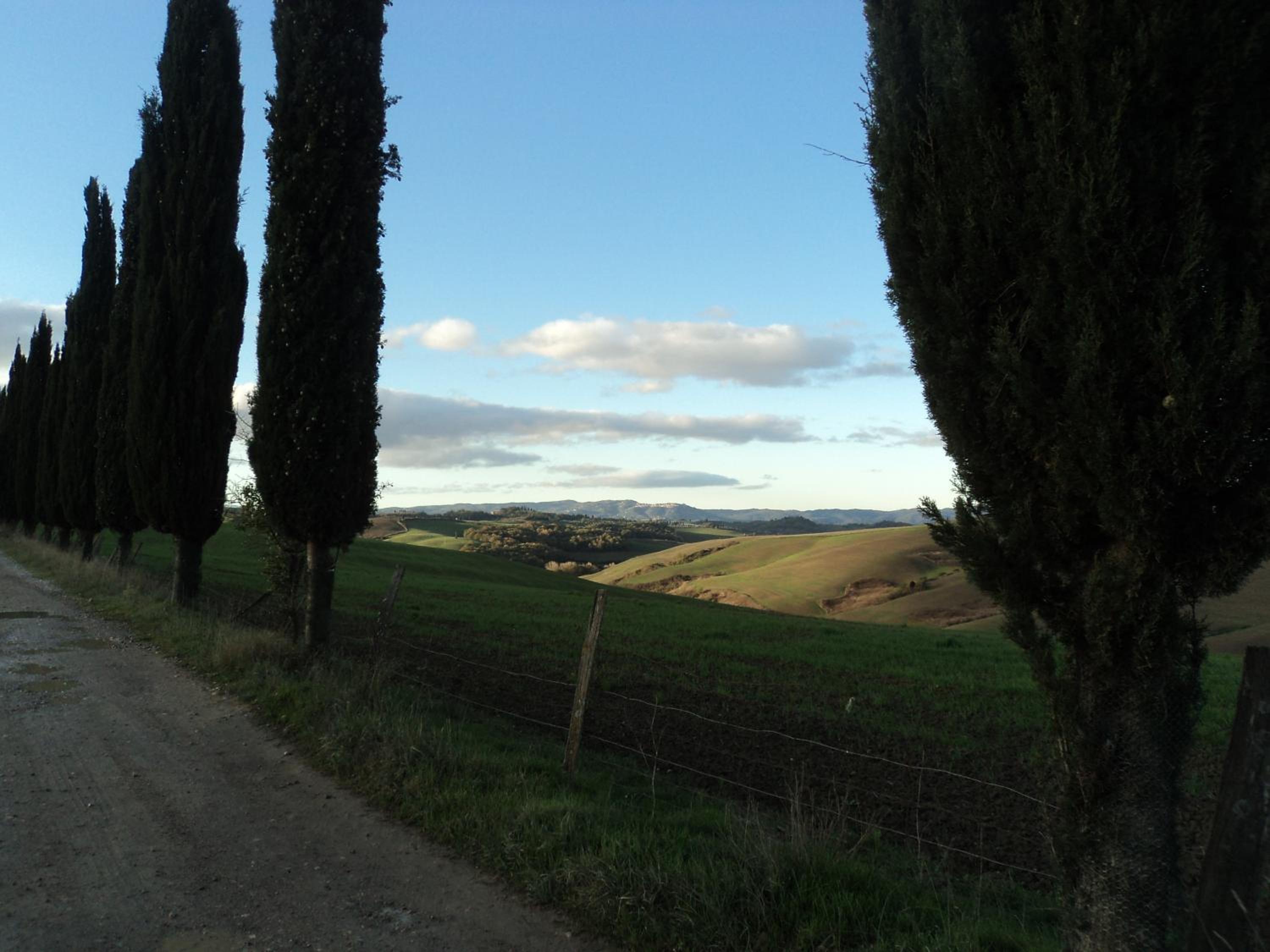 VILLETTA CASA LUISA view 5