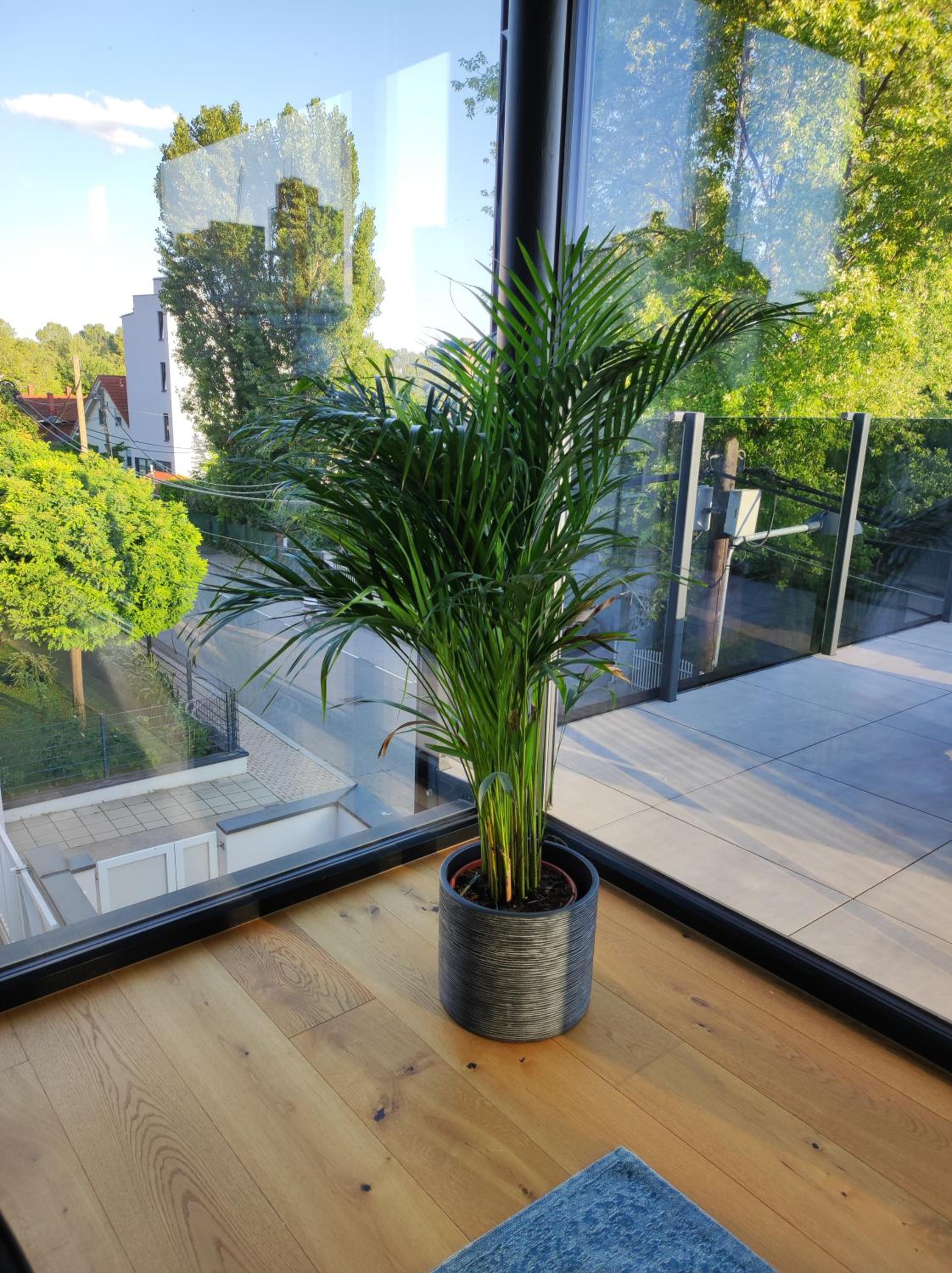 Luxuriöses Penthouse mit Blick auf die UNO-City und dem Kaiserwasser. 3Schlafzimmer, 2 Bäder, privat Lift ins Apartment