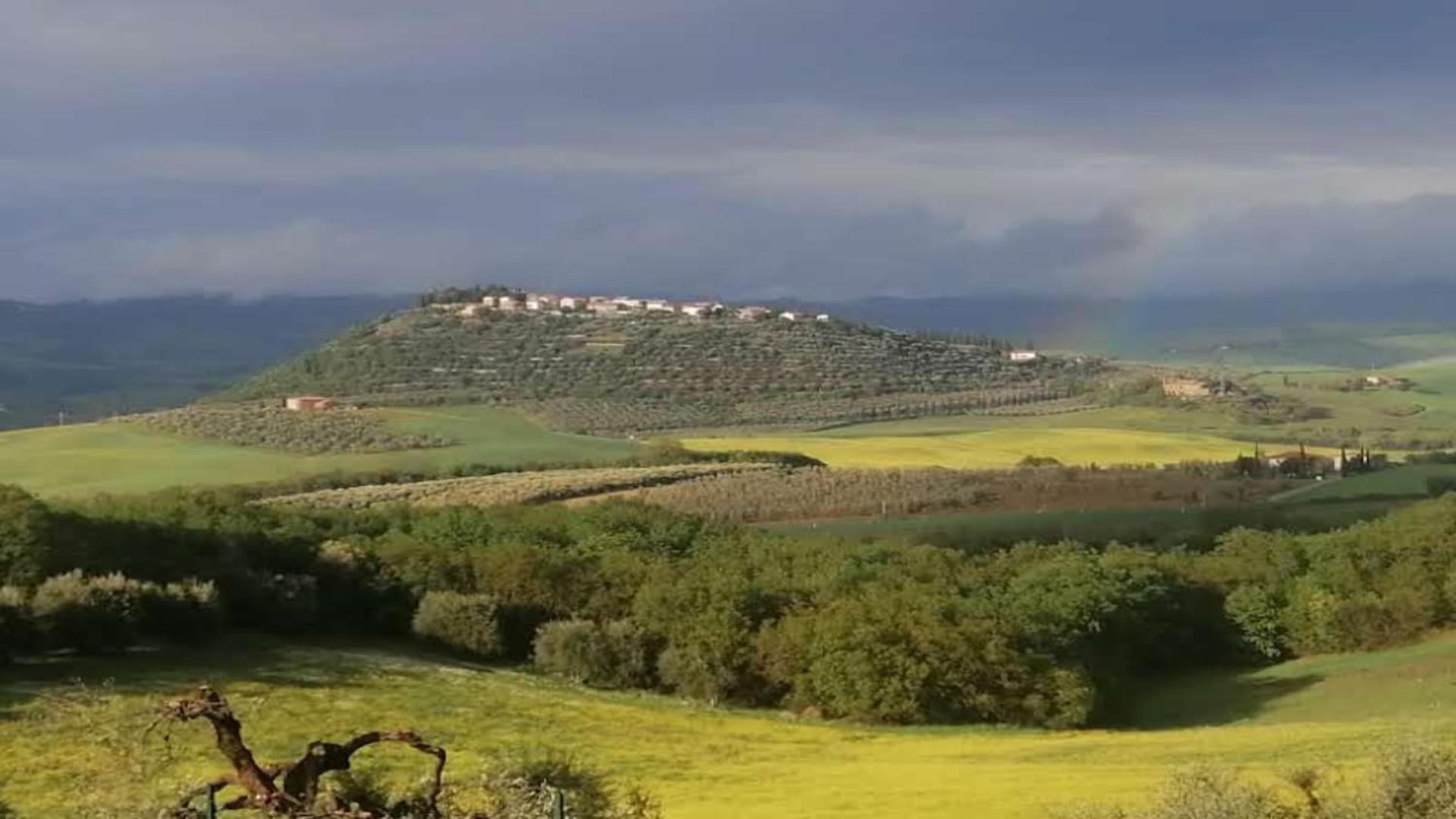 Vecchio Casale Quercetino Elegant Family Apartment with Pool & Panoramic Tuscan Views view 5