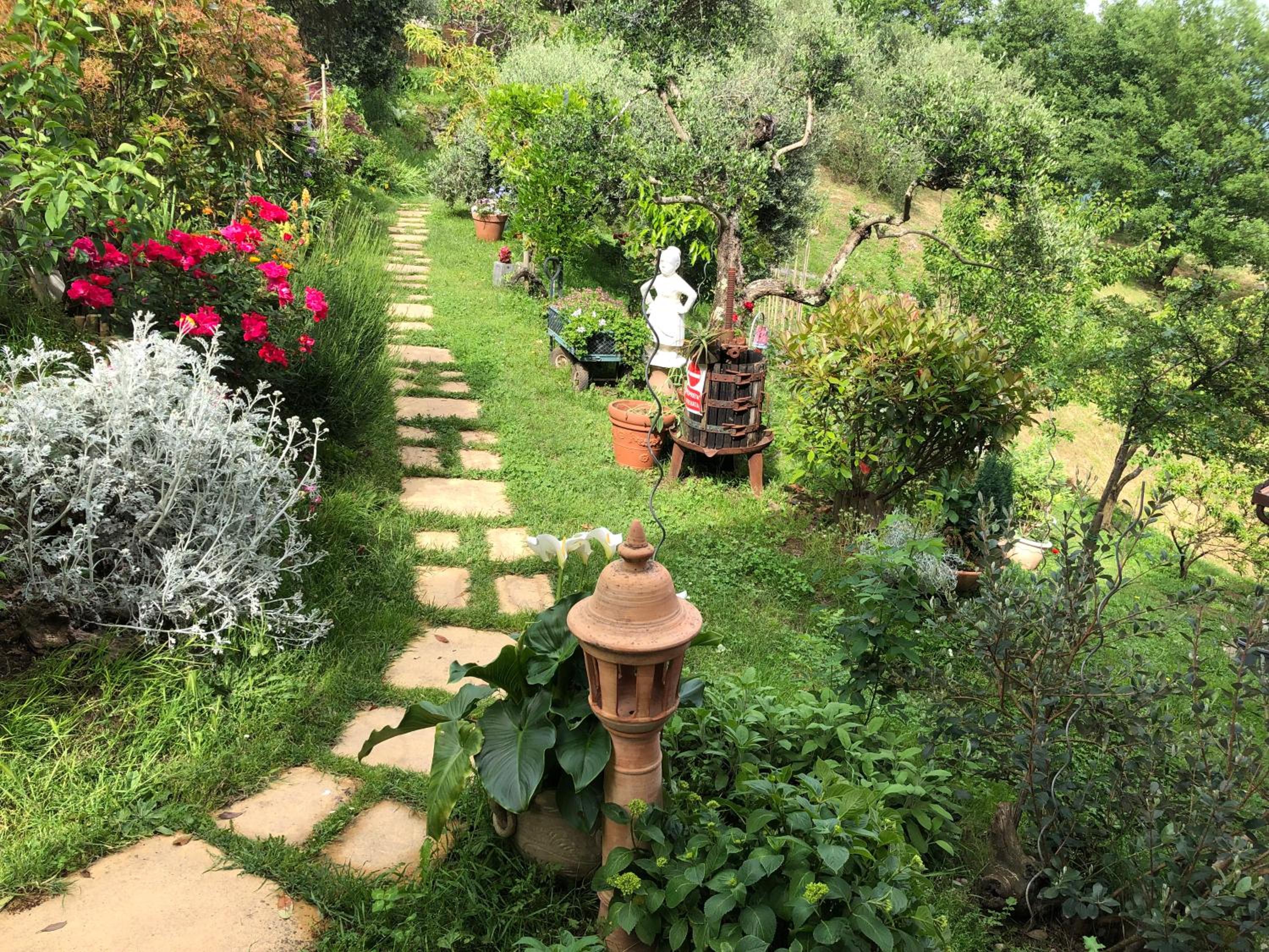 B&B Puccini