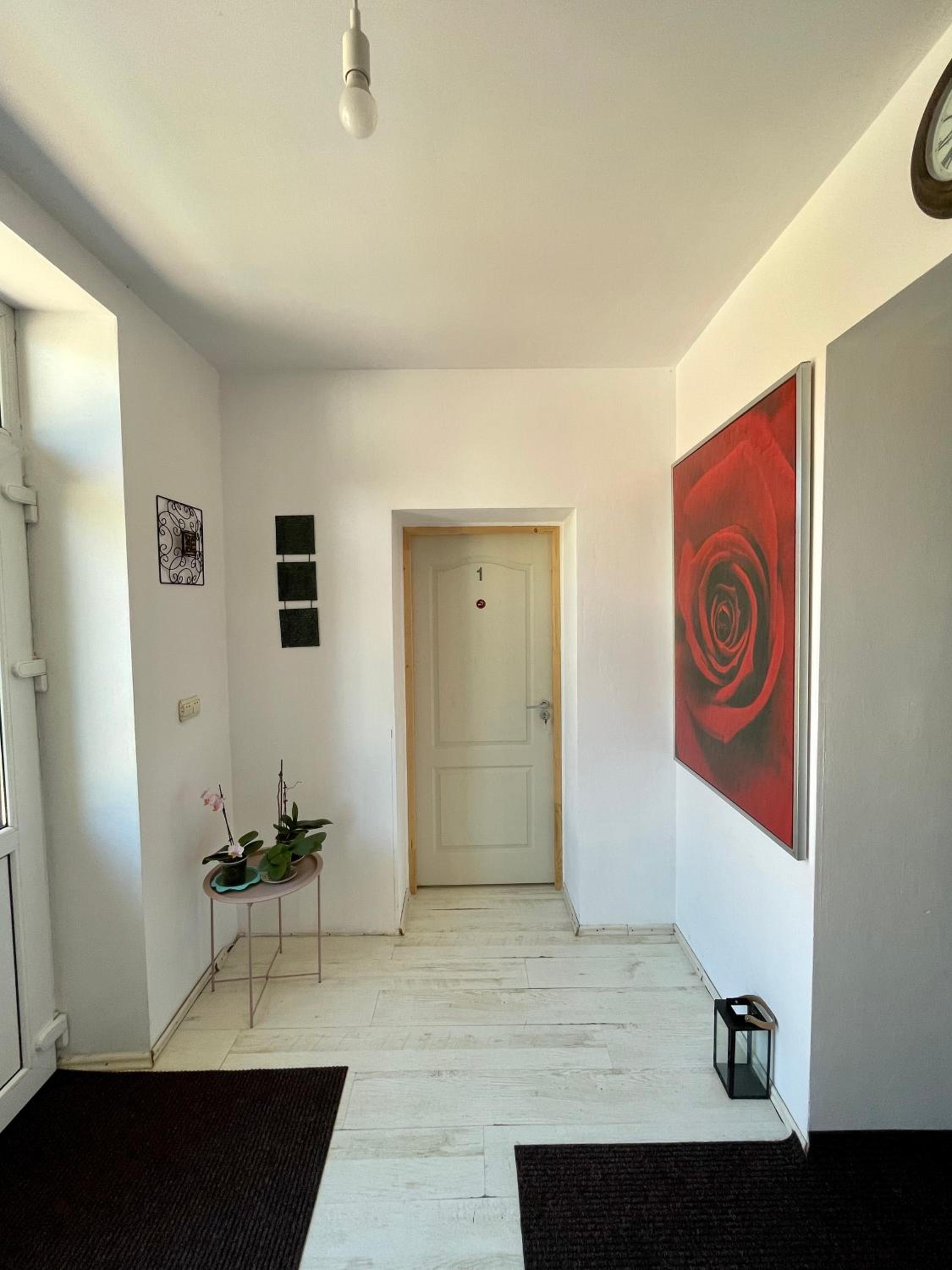 Casa Trandafirilor view 5