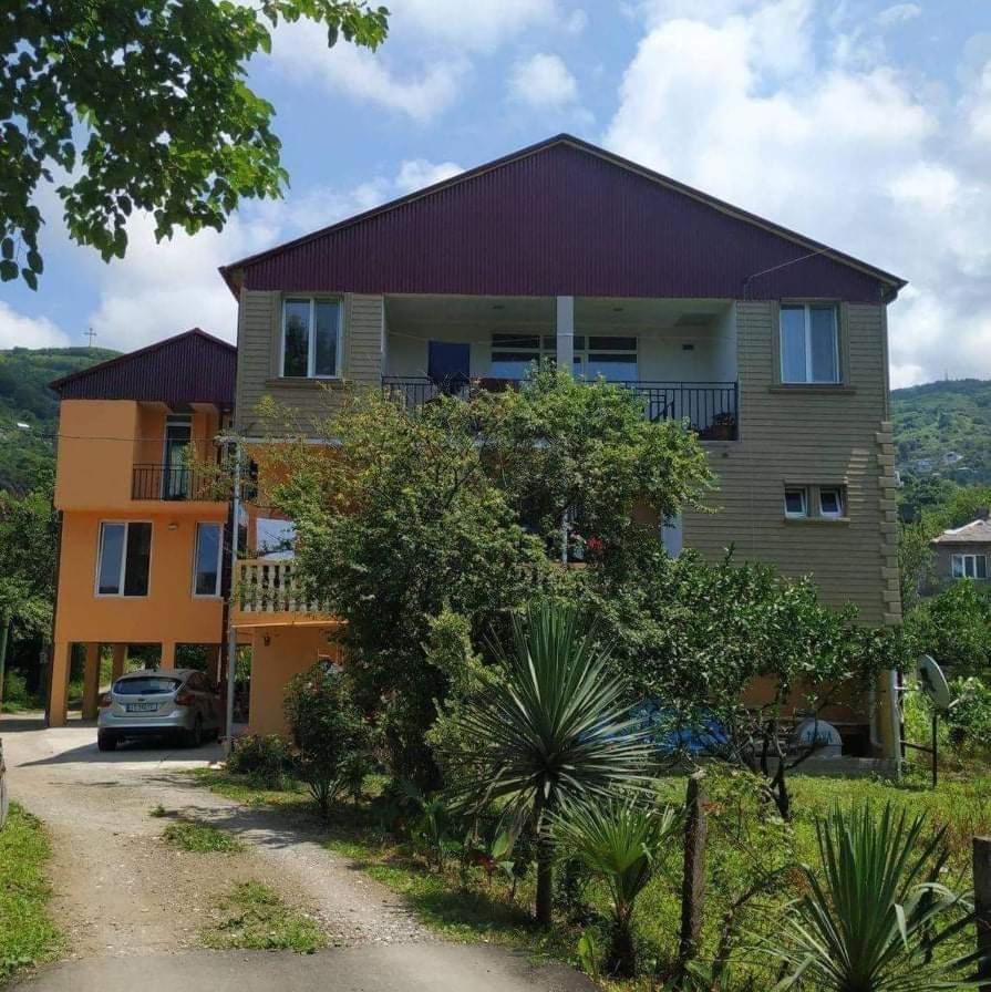 Guest House Violeta