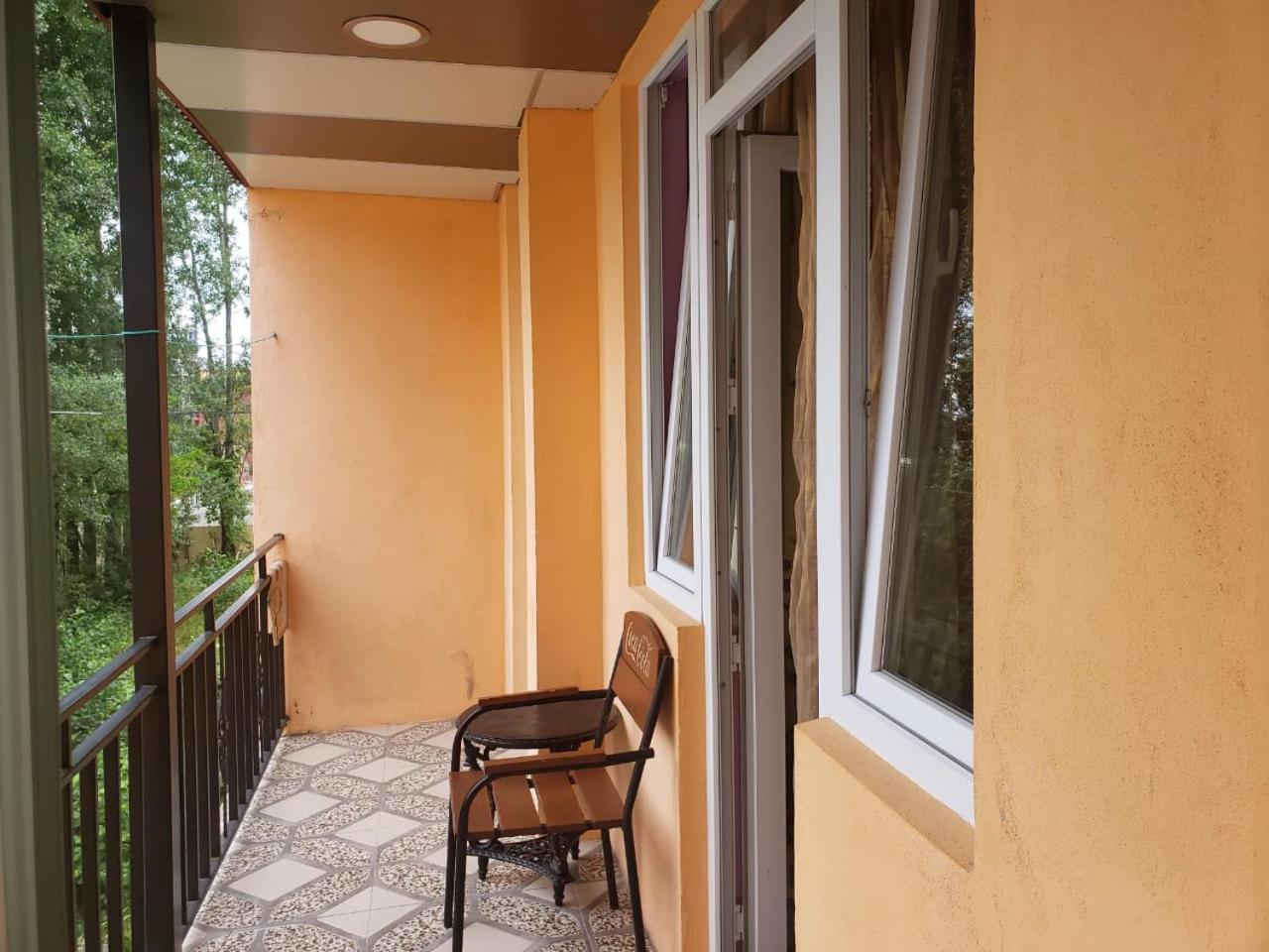 Guest House Violeta