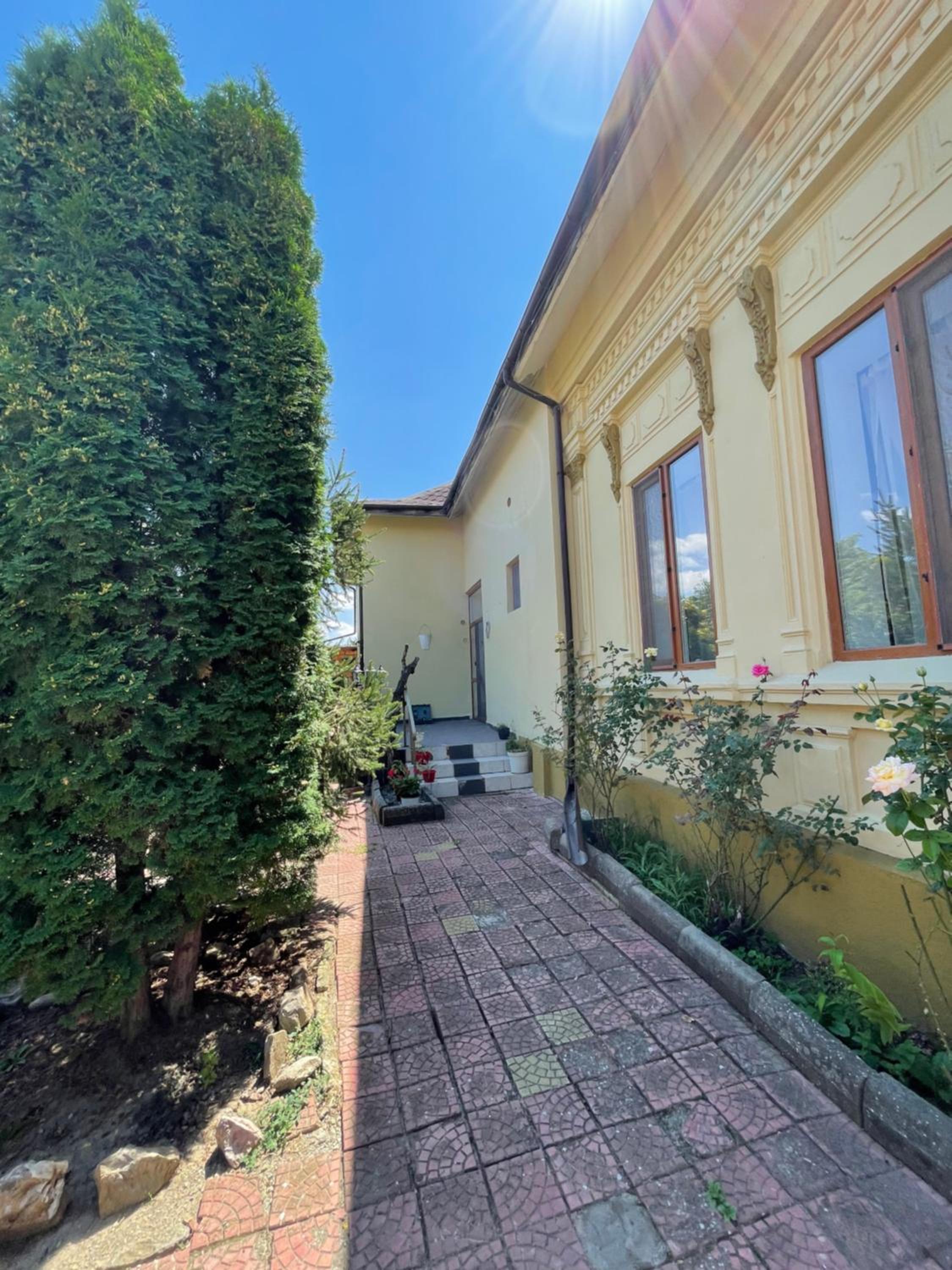 Photo 46