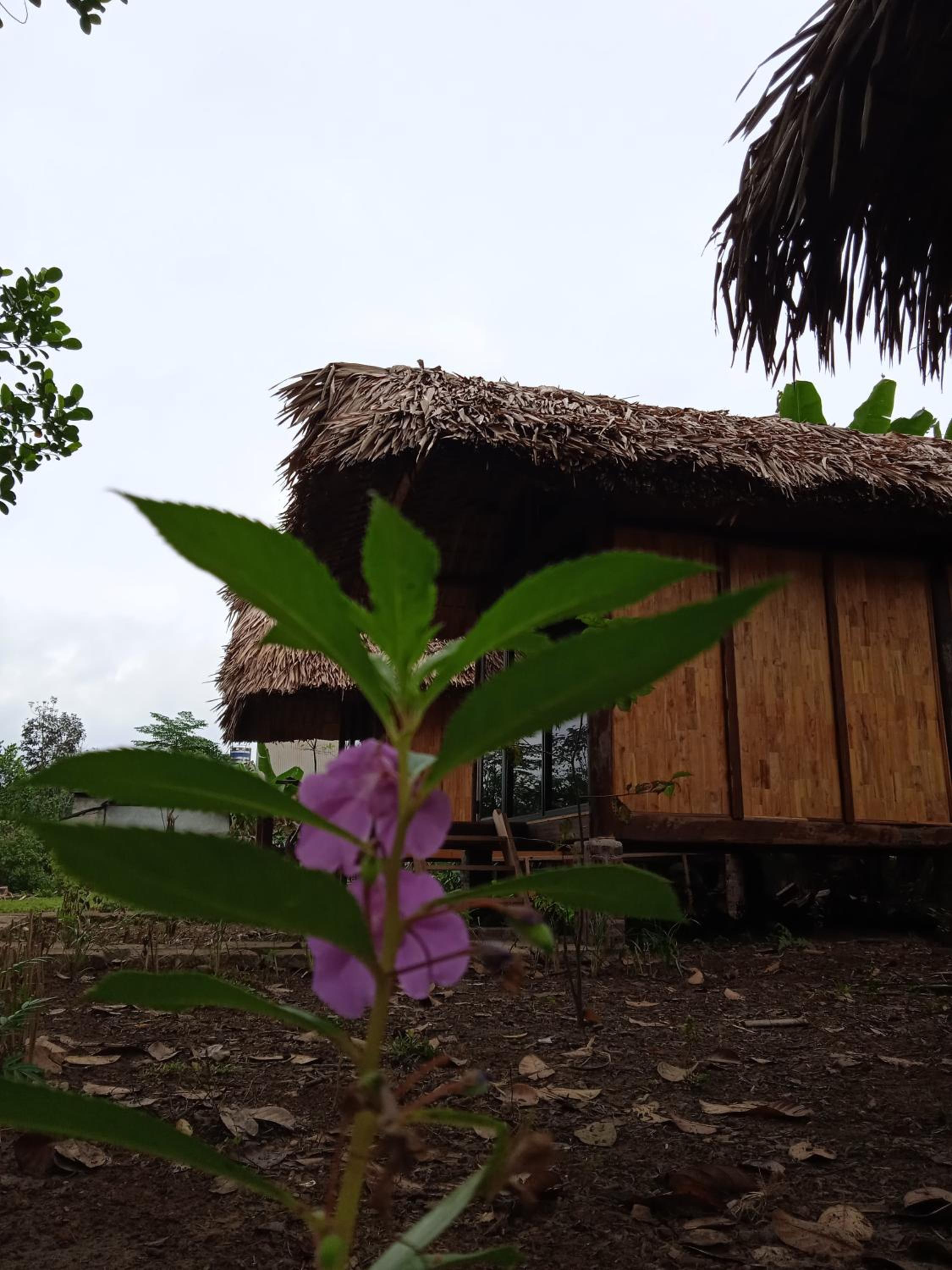 Ngoặng homestay - phòng nghỉ trọ