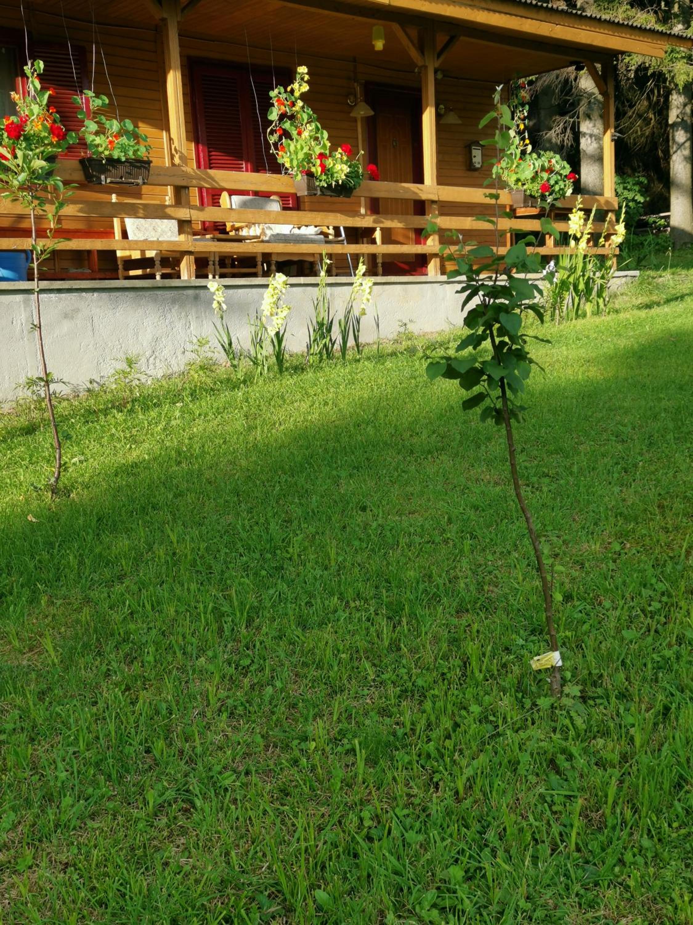 Photo 33