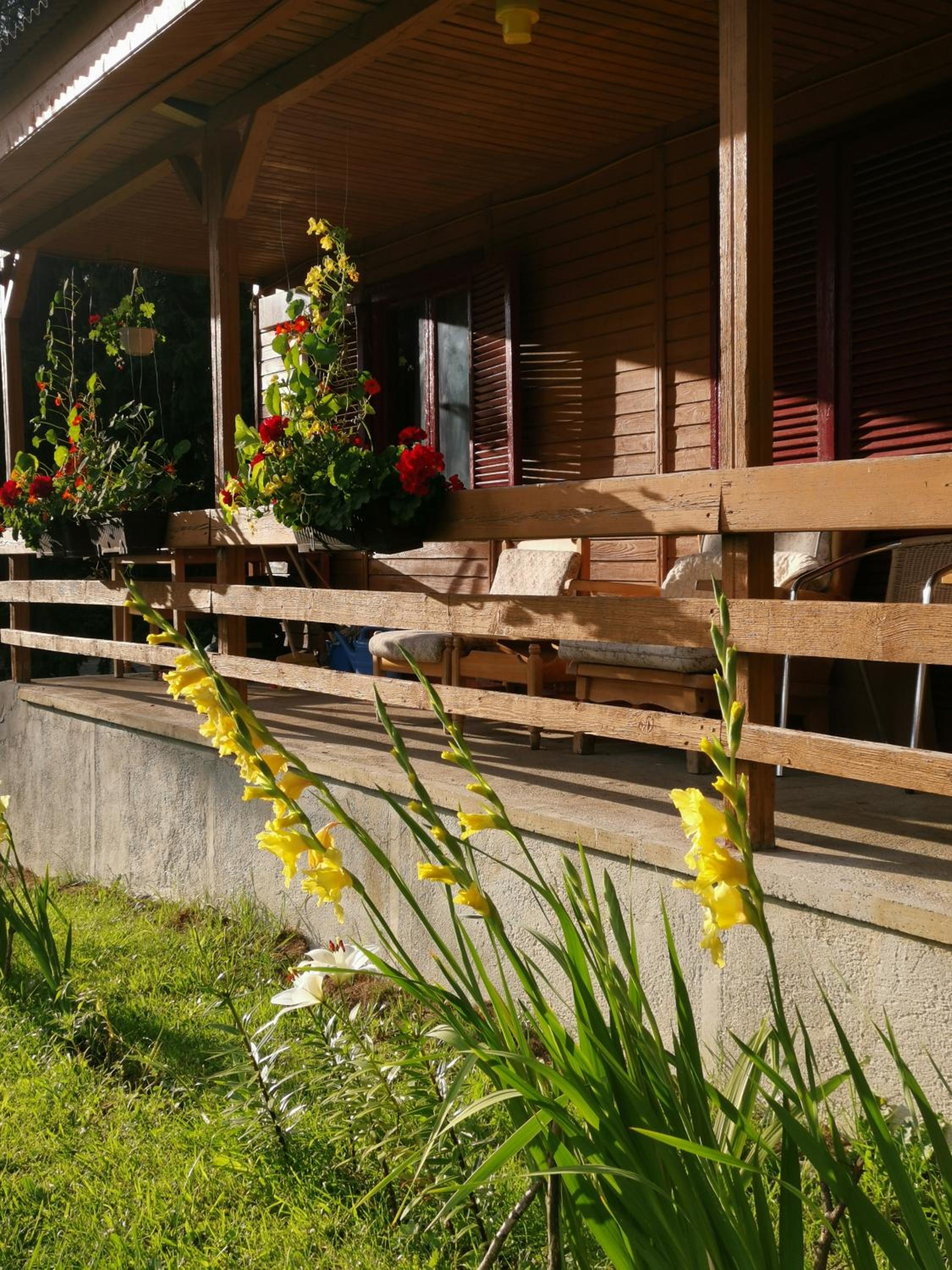 Photo 16