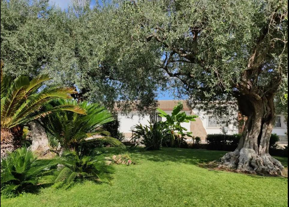 Villa Antonella