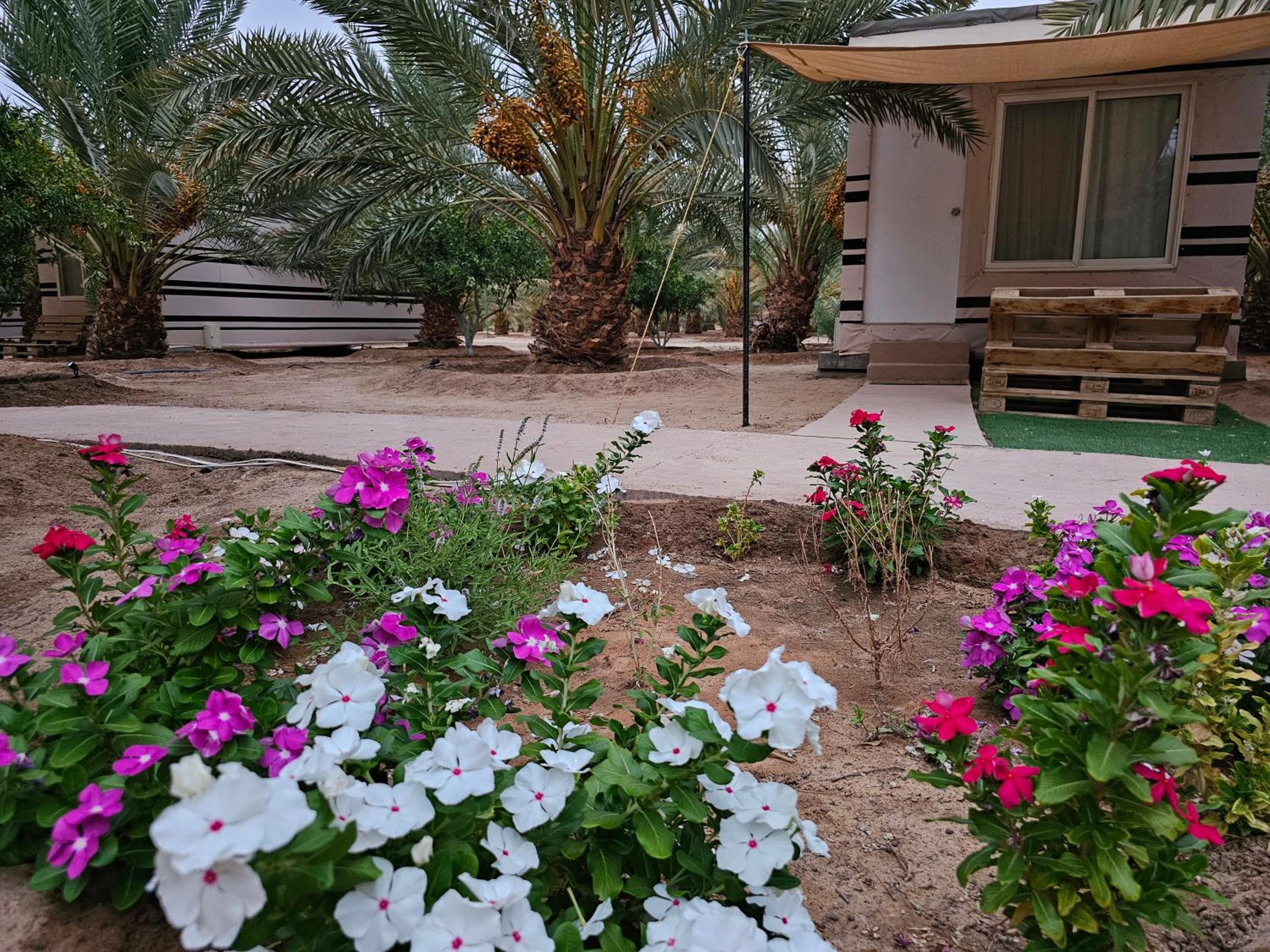 Almazham hotel room resort view 3