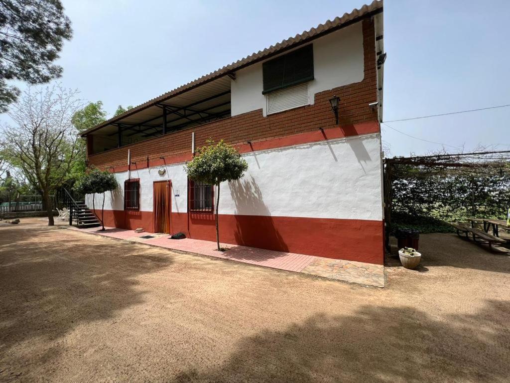 Photo 46