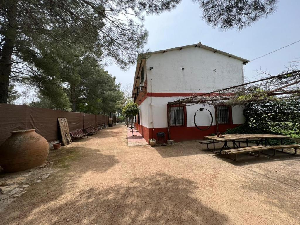 Photo 18