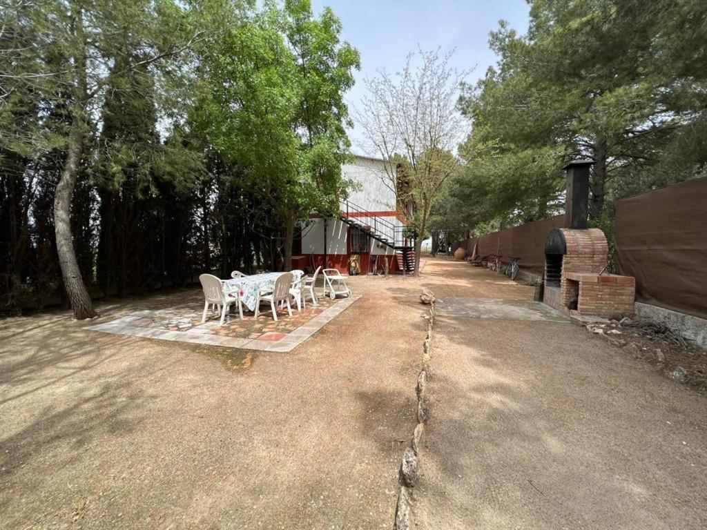 Photo 16