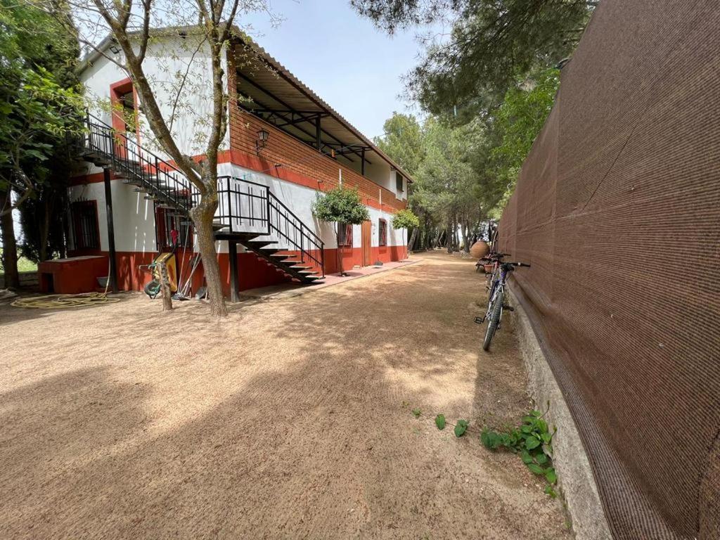 Finca Los Molinos view 2