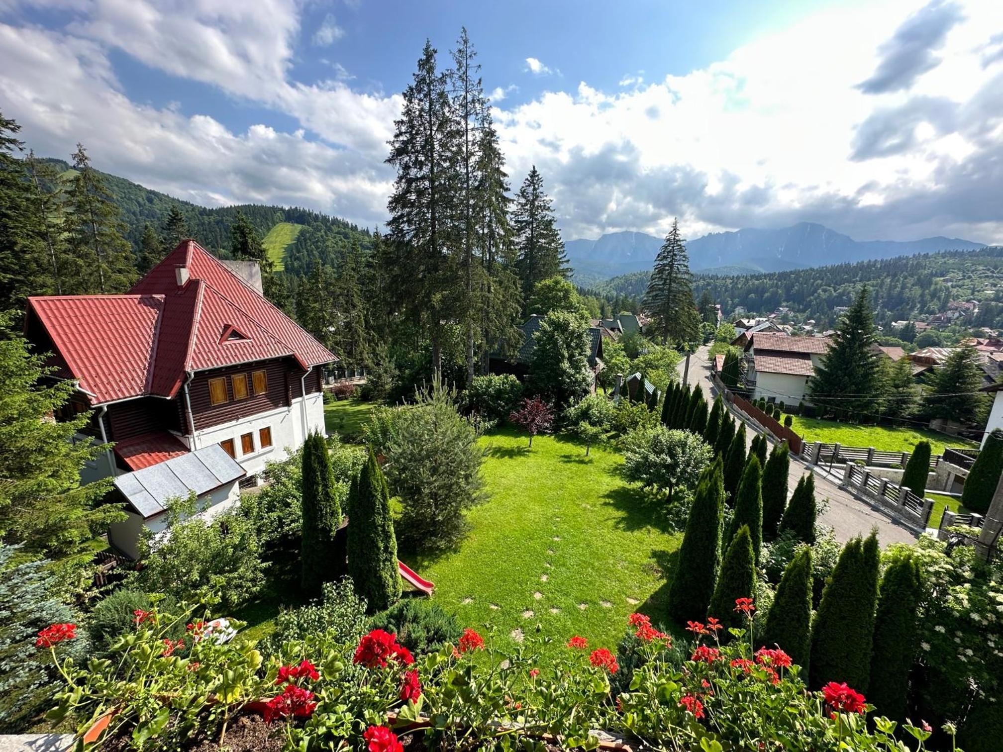 Transylvanian Villa view 2