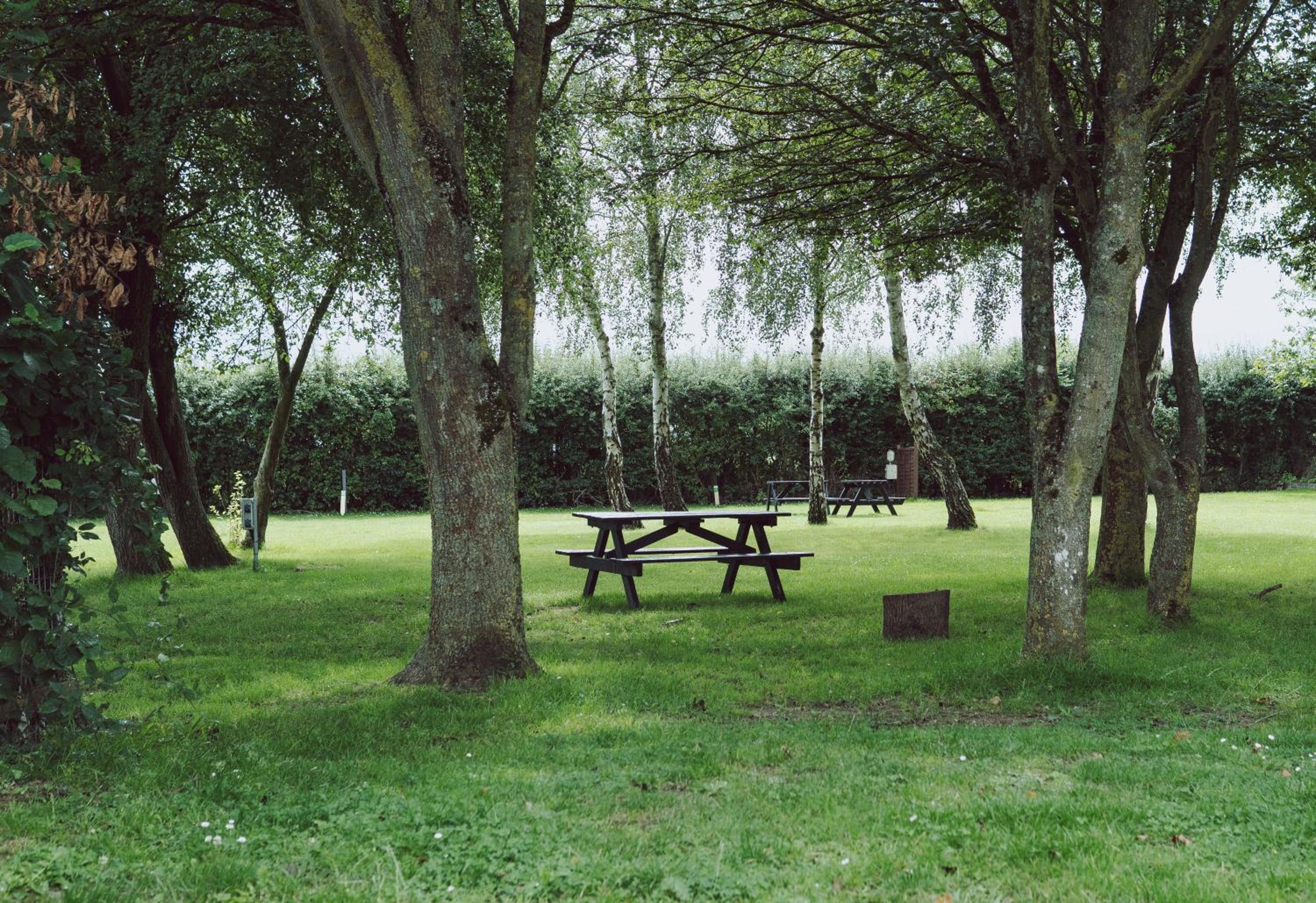 Photo 51