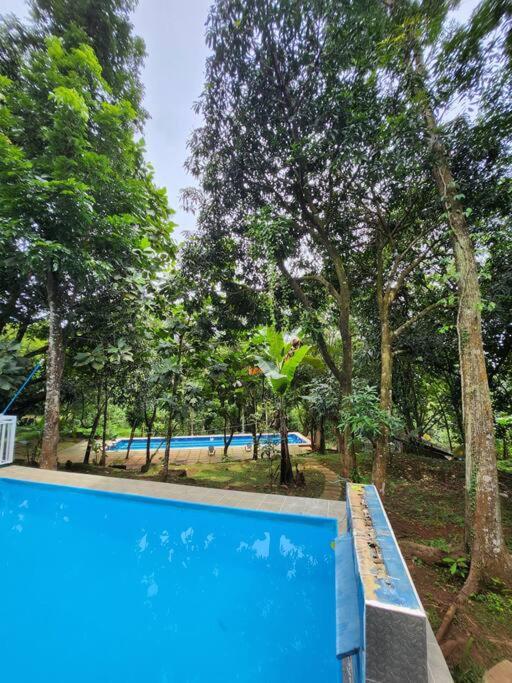 Country Home w Private Pool at Antipolo