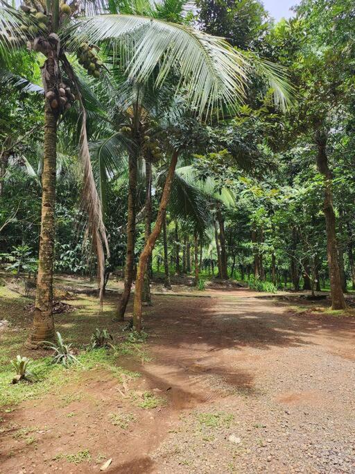 Country Home w Private Pool at Antipolo