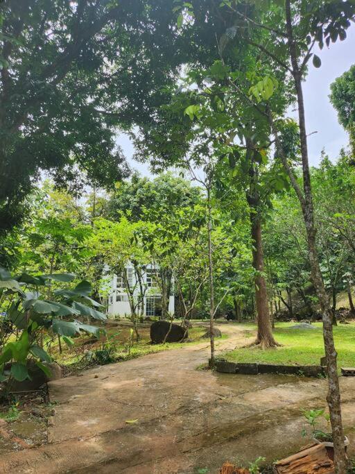 Country Home w Private Pool at Antipolo