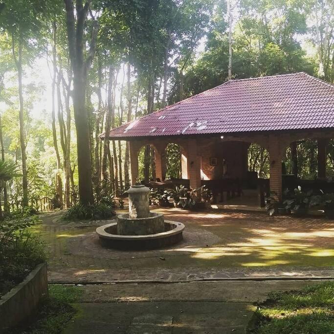 Country Home w Private Pool at Antipolo