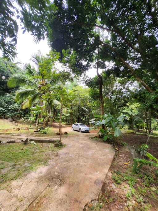 Country Home w Private Pool at Antipolo