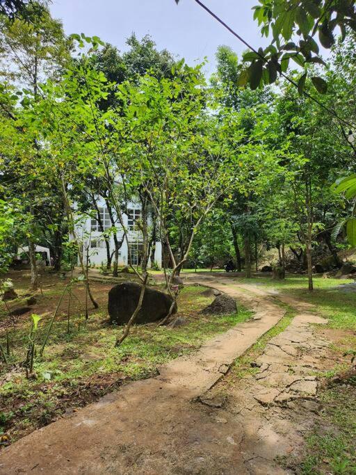 Country Home w Private Pool at Antipolo