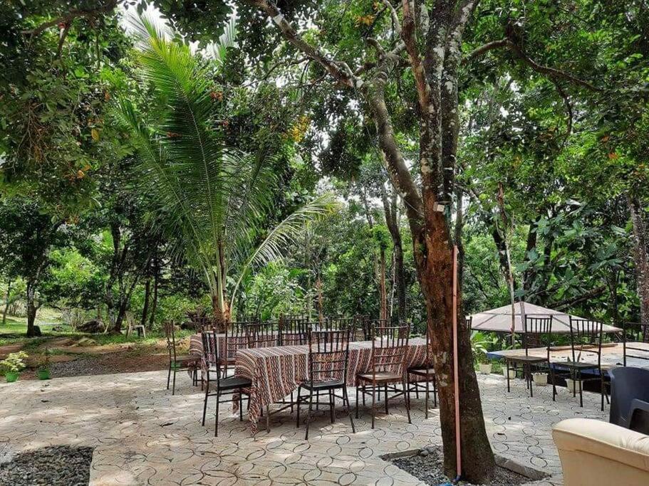 Country Home w Private Pool at Antipolo