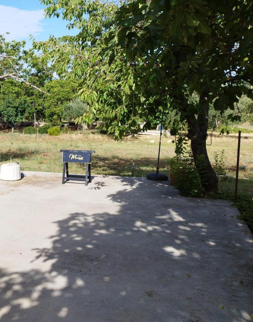 Apartment near centar for 2+1 at Pula, with garden and free parking view 4