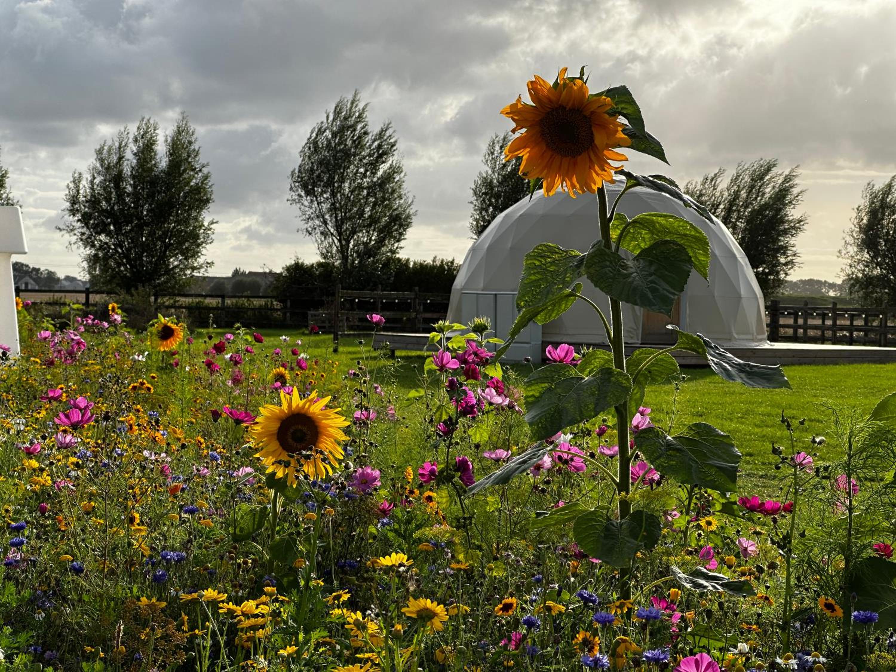 Glamping De Coude Scheure