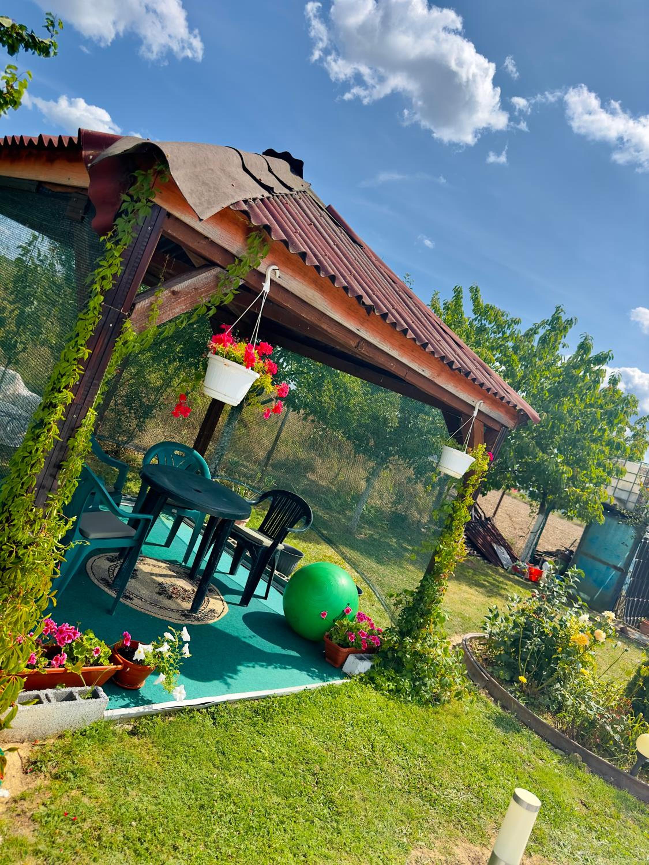 Casa Andrei și Cătălin view 5