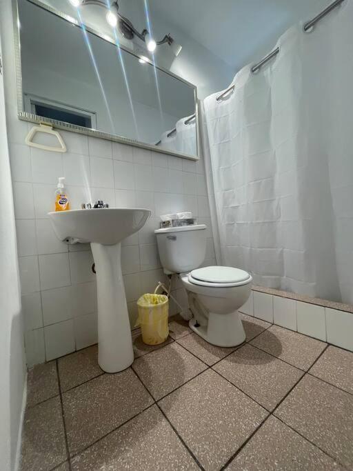 Beach Front Apartments Seven Seas view 5
