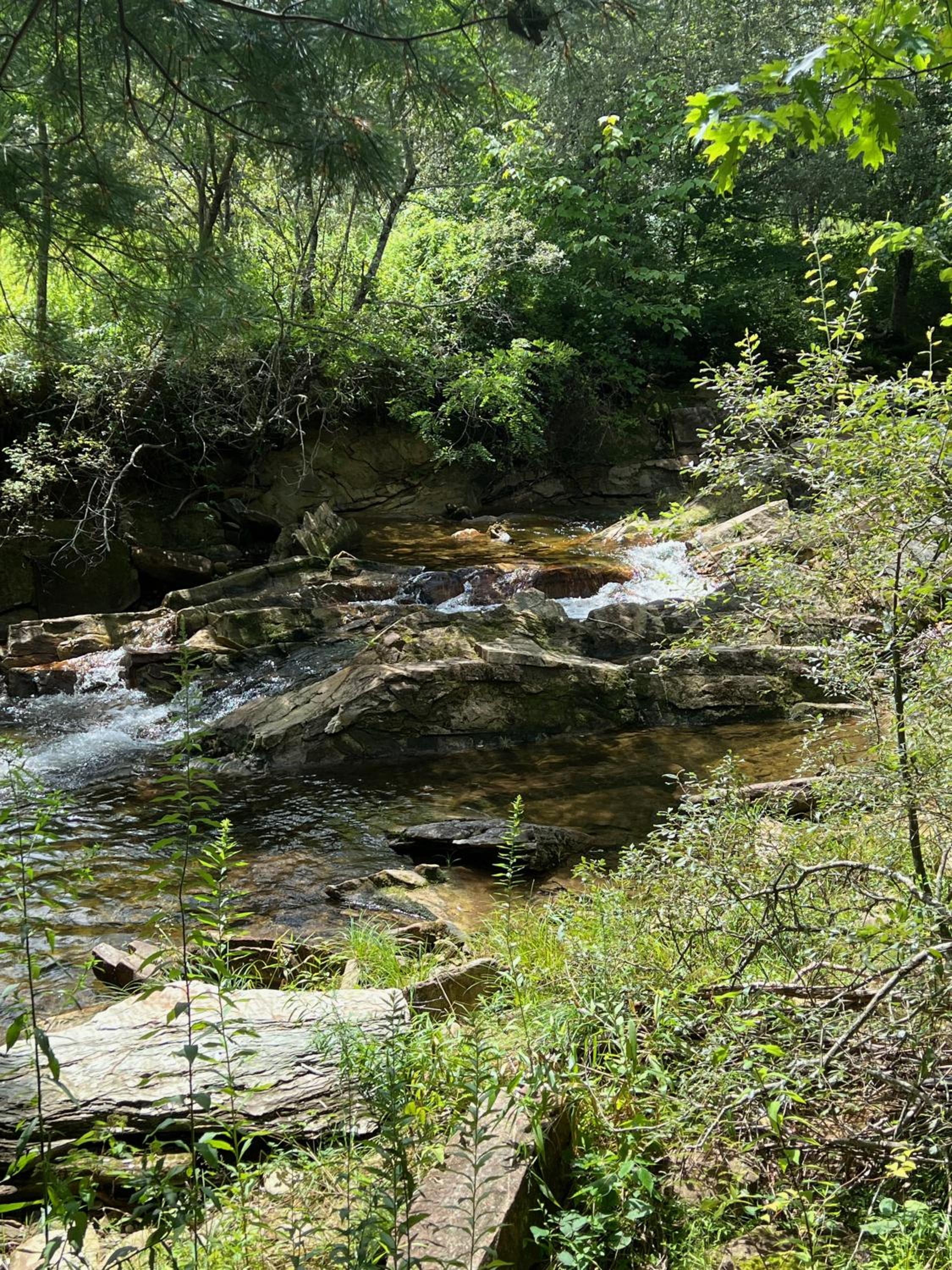 Photo 43