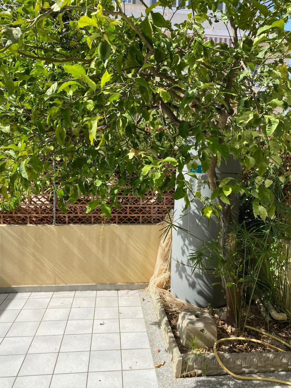 A... Mare Sicilia photo 2