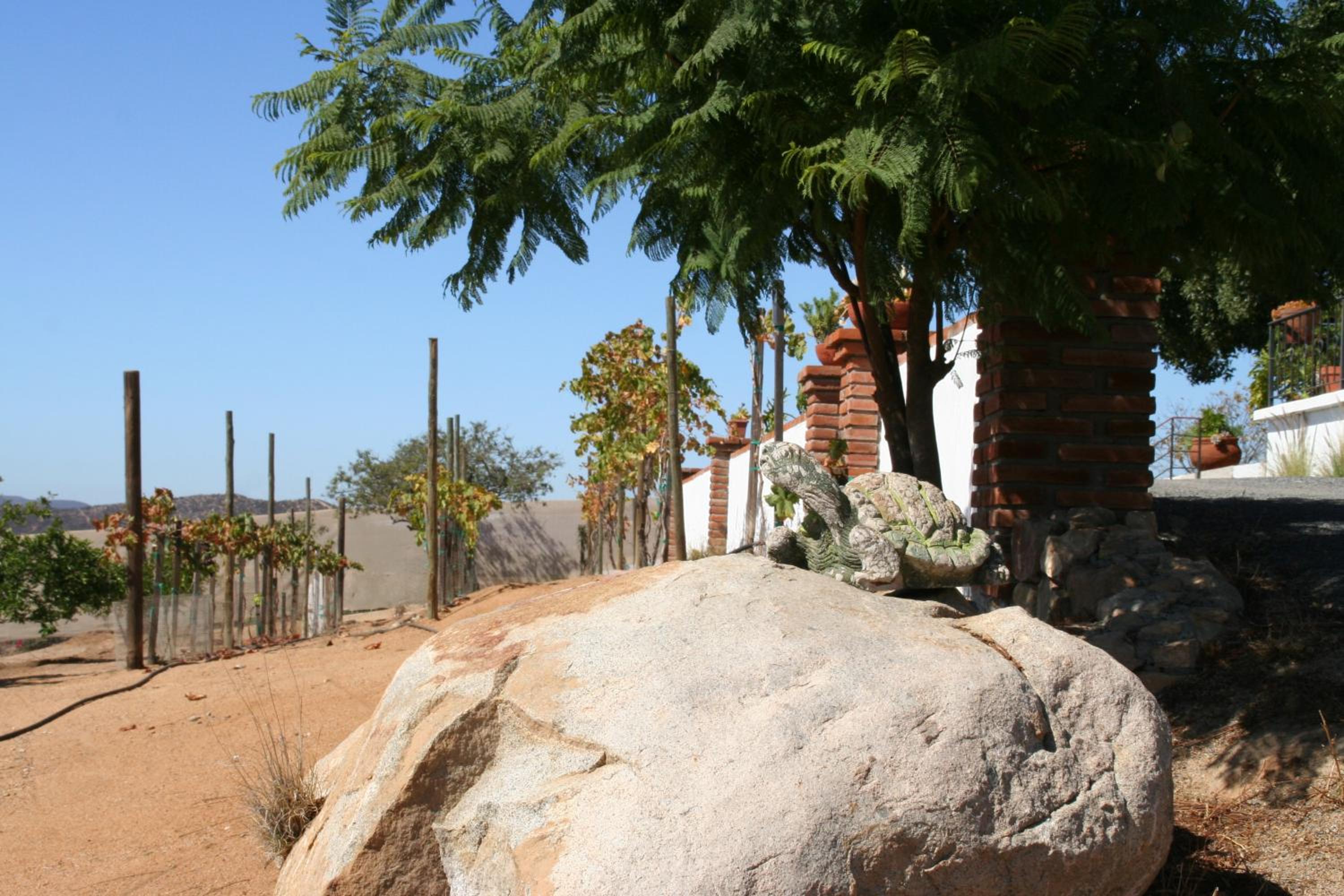 Quinta Sofia Valle de Guadalupe