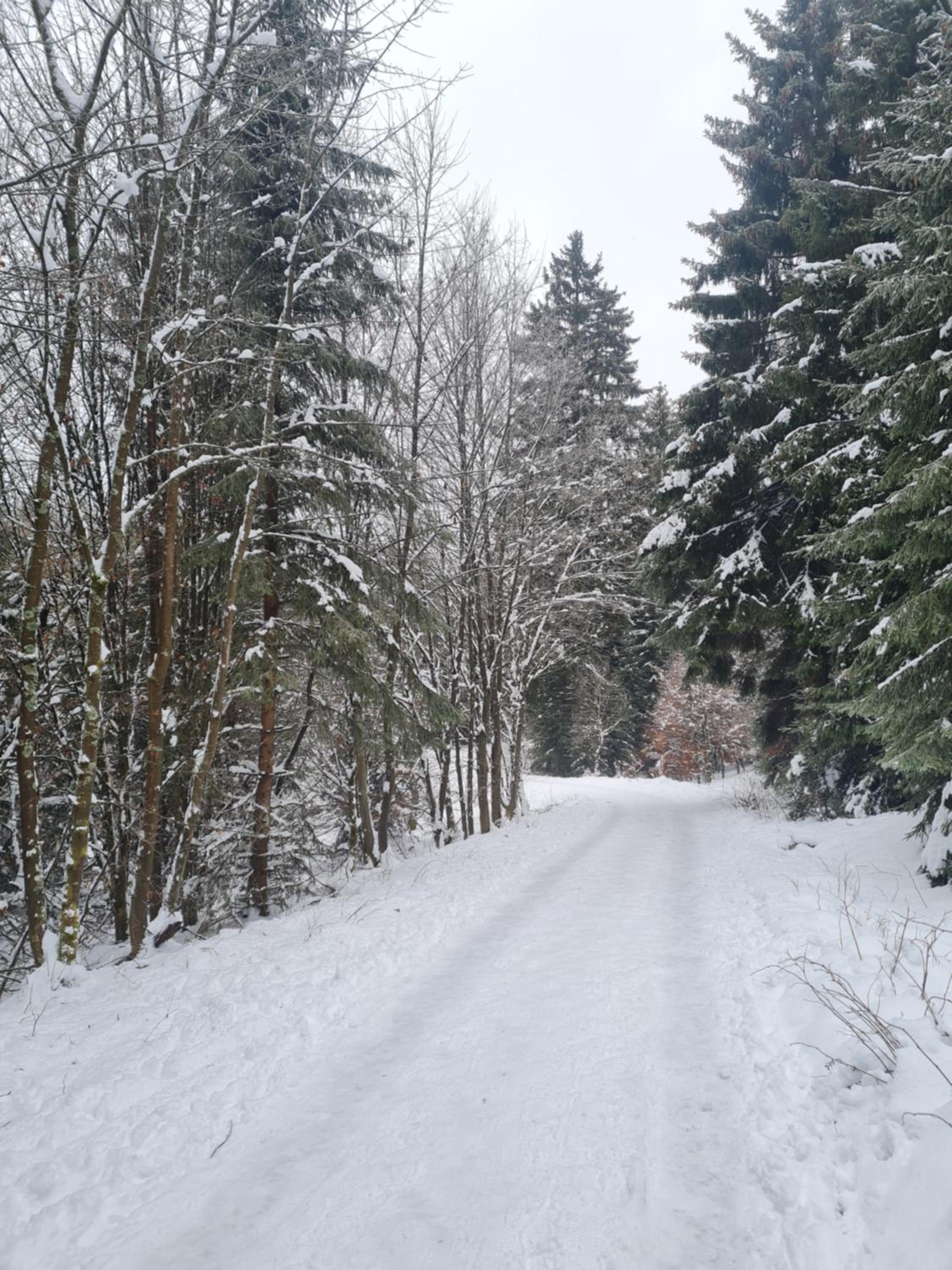 Bergkultur Sauerland