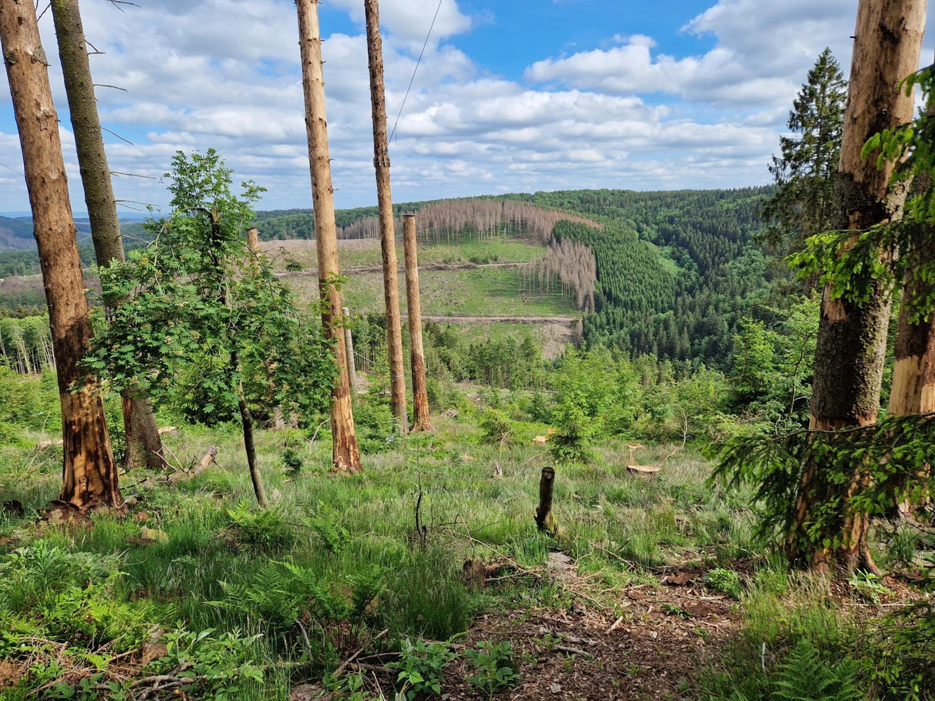 Bergkultur Sauerland