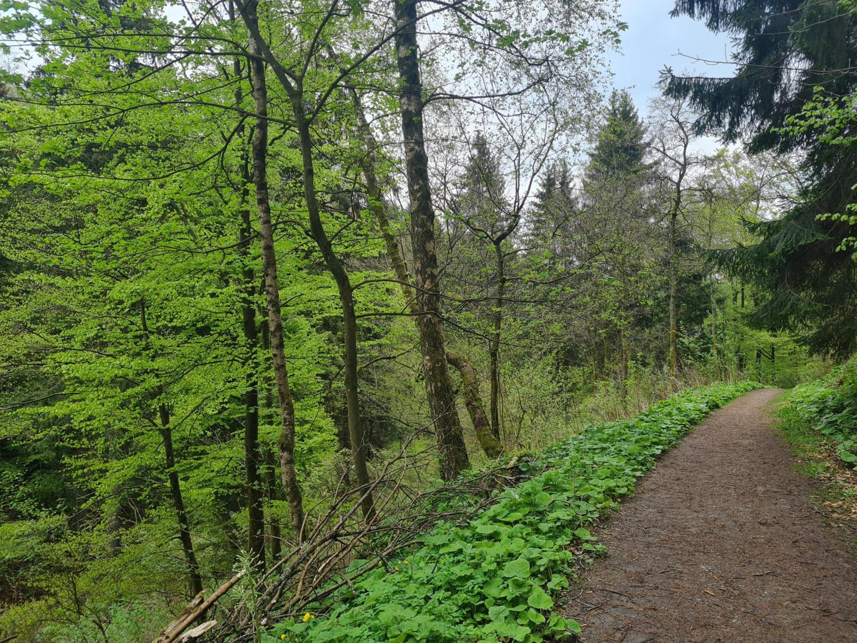 Bergkultur Sauerland