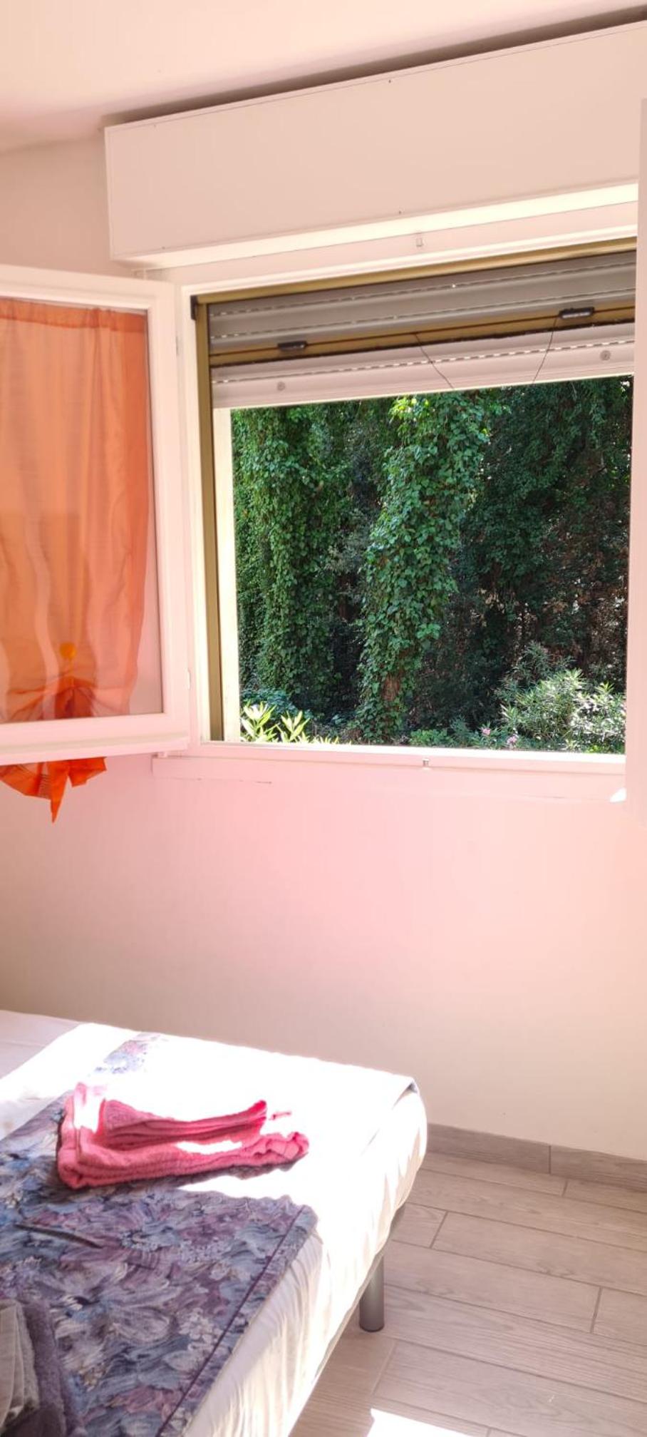 Photo 39