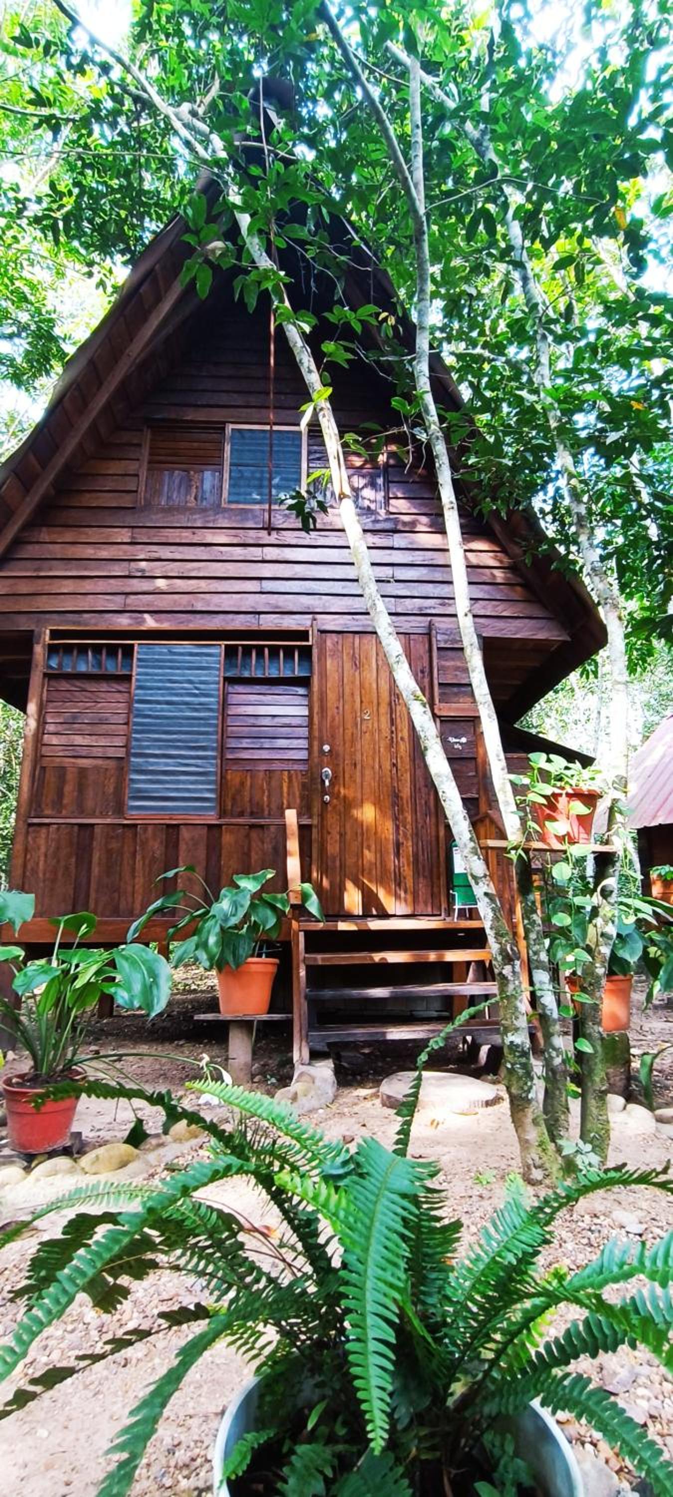 Hotel Ecologico Makalombia
