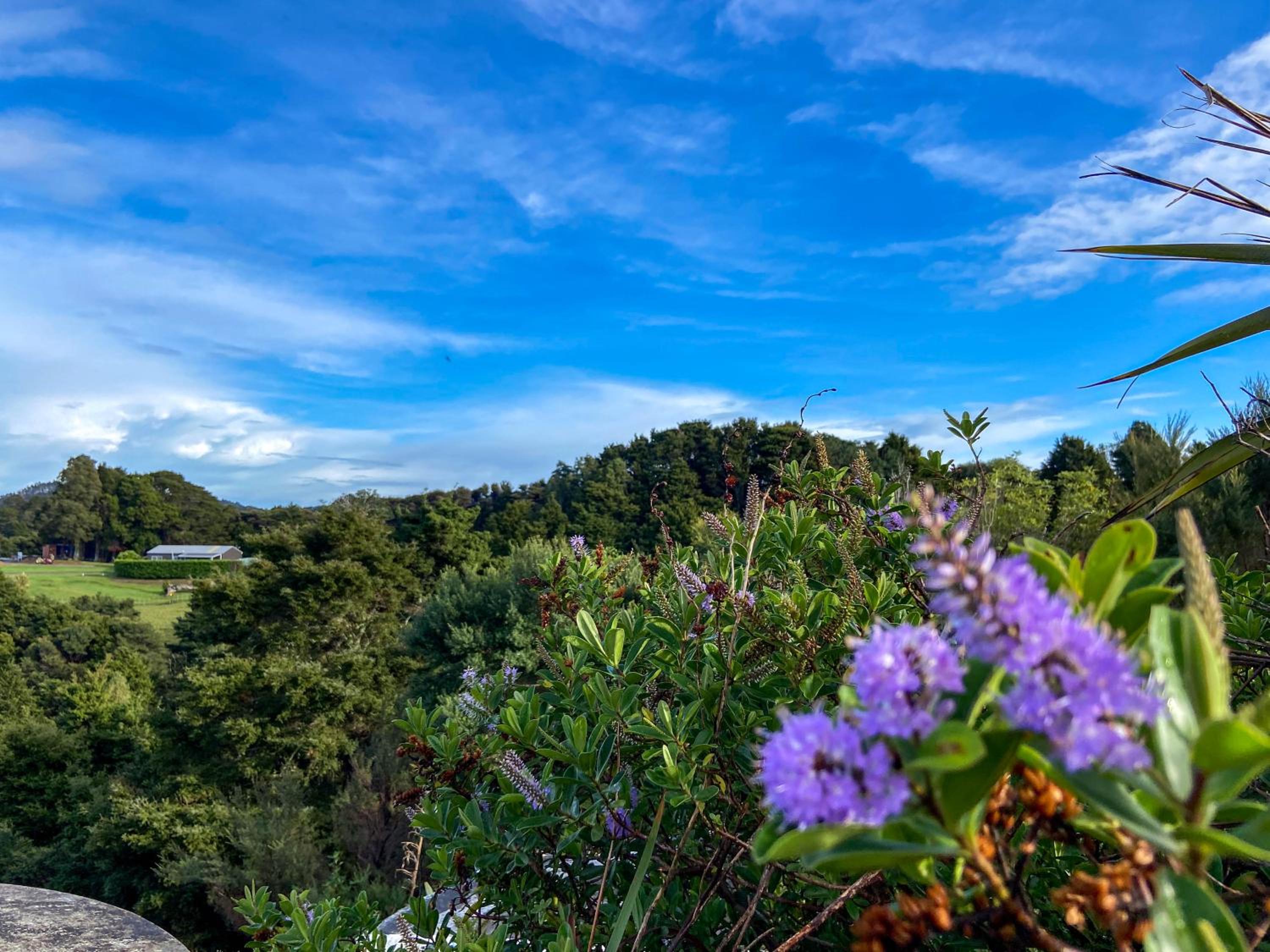 Kauri Villas