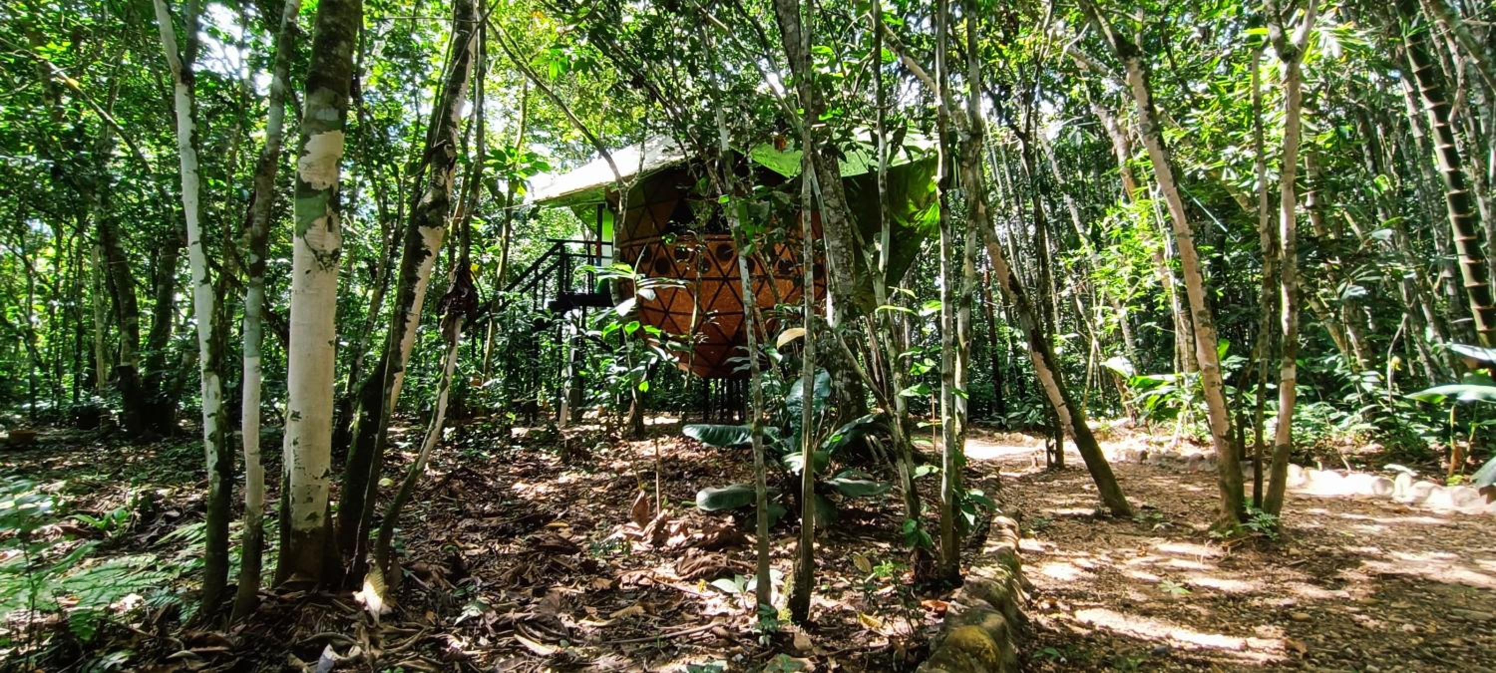 Hotel Ecologico Makalombia