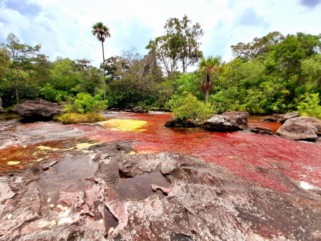 Hotel Ecologico Makalombia